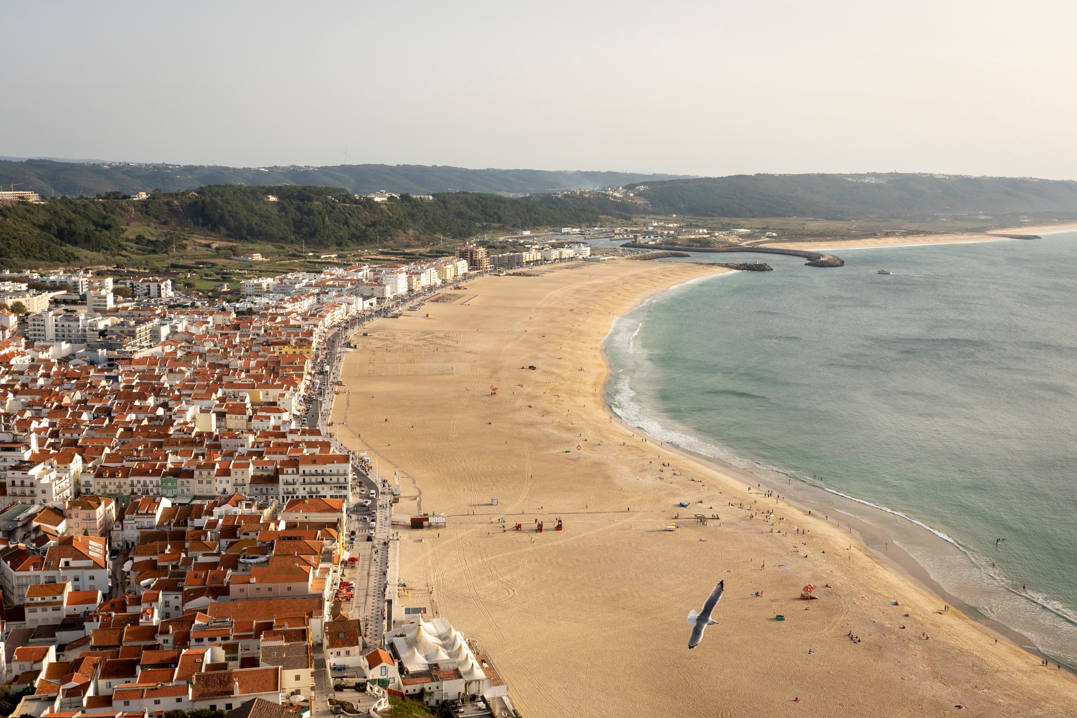 Lisbon to Porto, Óbidos & Nazaré: Full-Day Tour