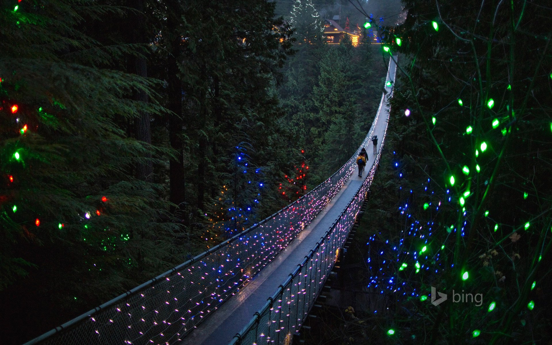 Vancouver Highlights & Capilano Suspension Bridge Private or Small Group Tour