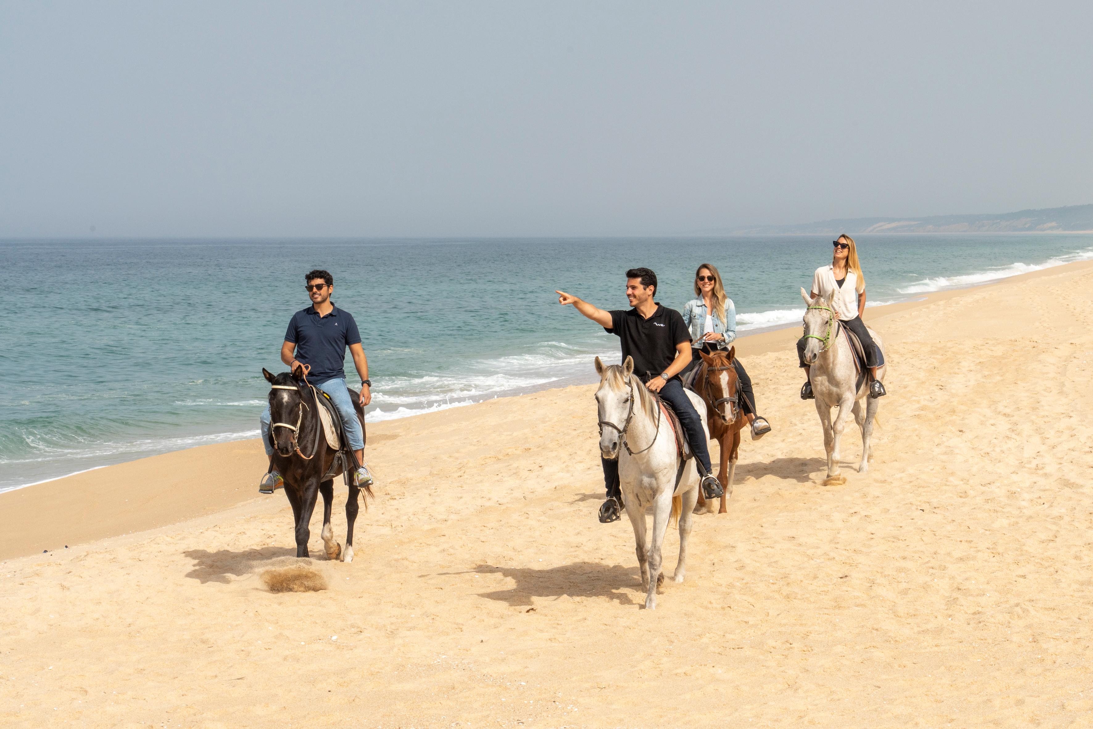 Comporta & Setúbal Day Trip with Coastal Horseback Ride