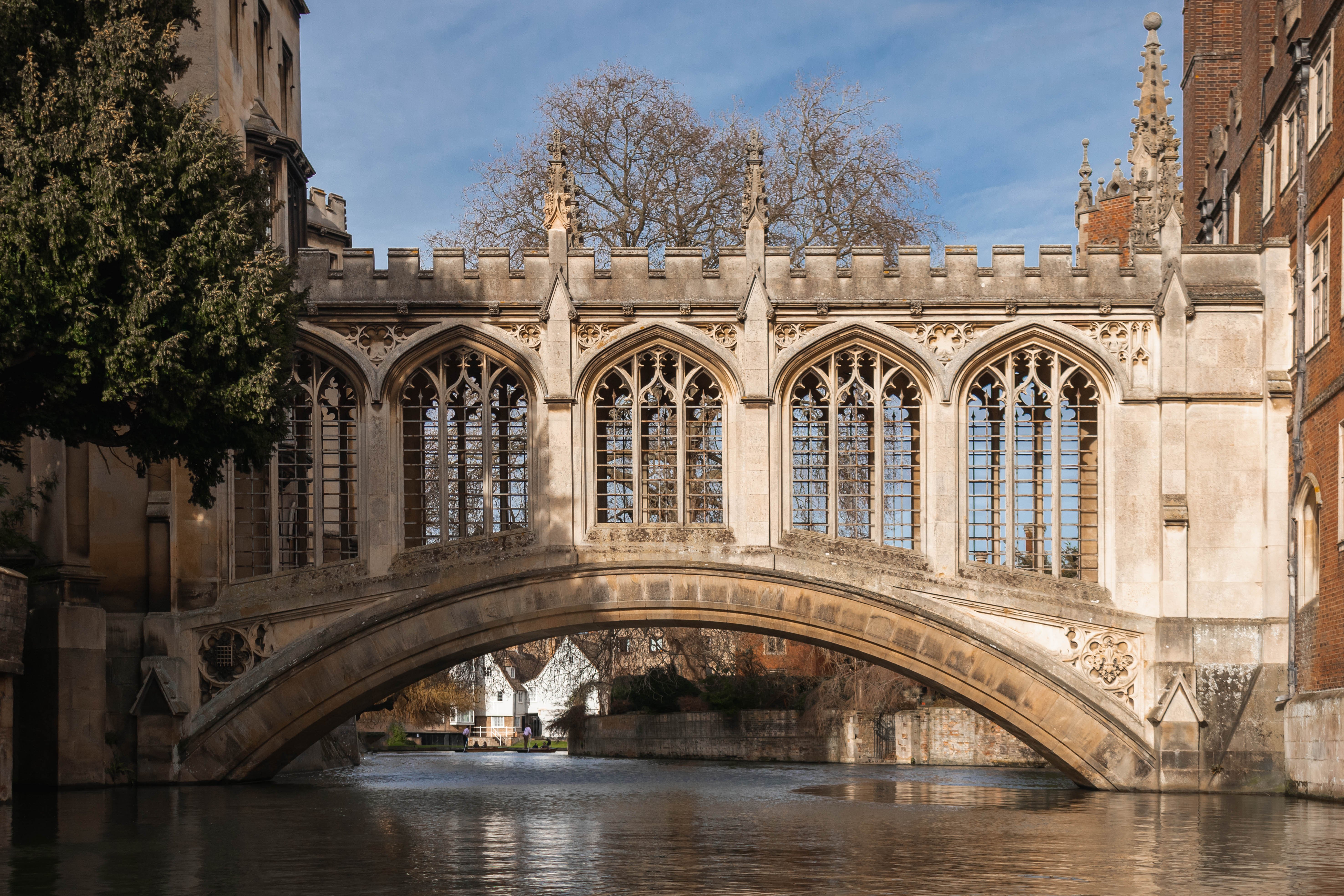 Private punting tour in Cambridge — image 6