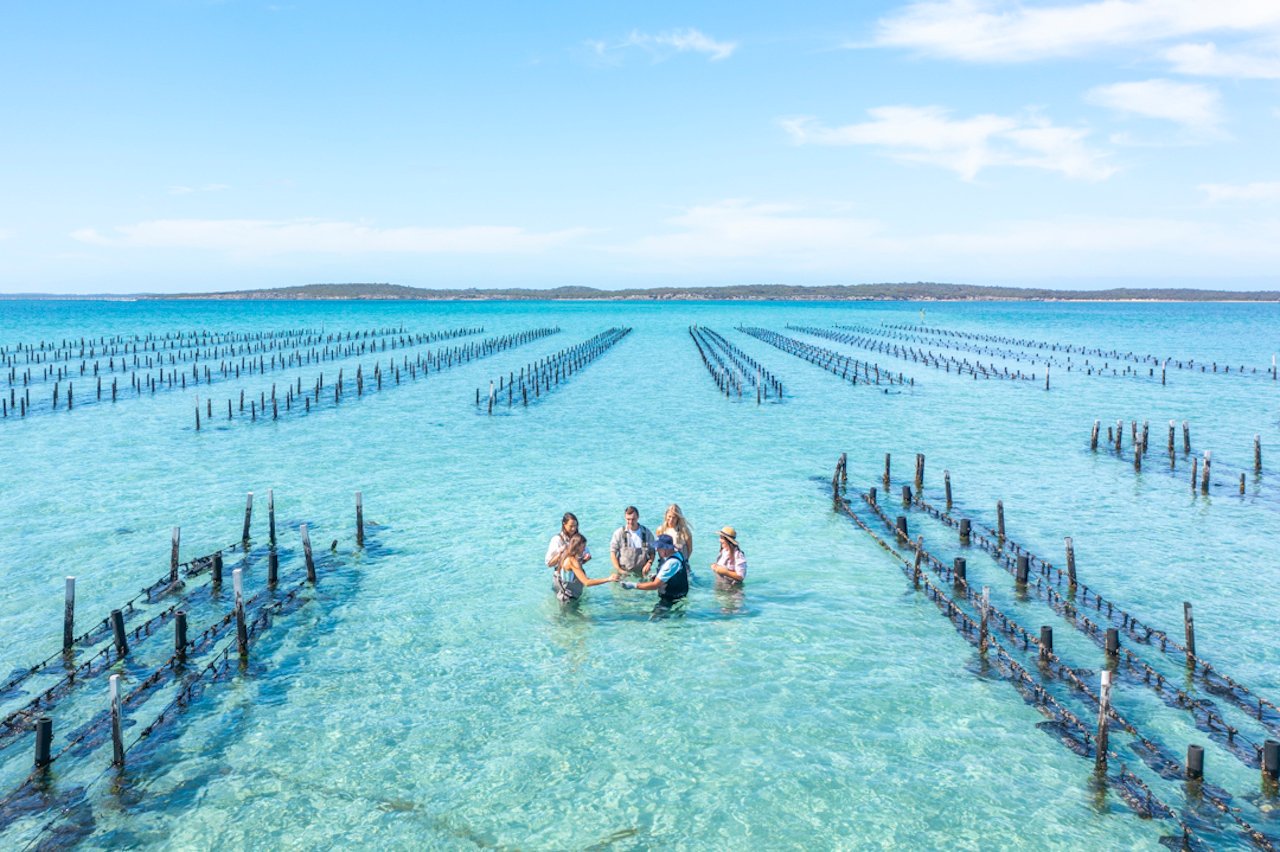 Coffin Bay Oyster Farm Boat Experience