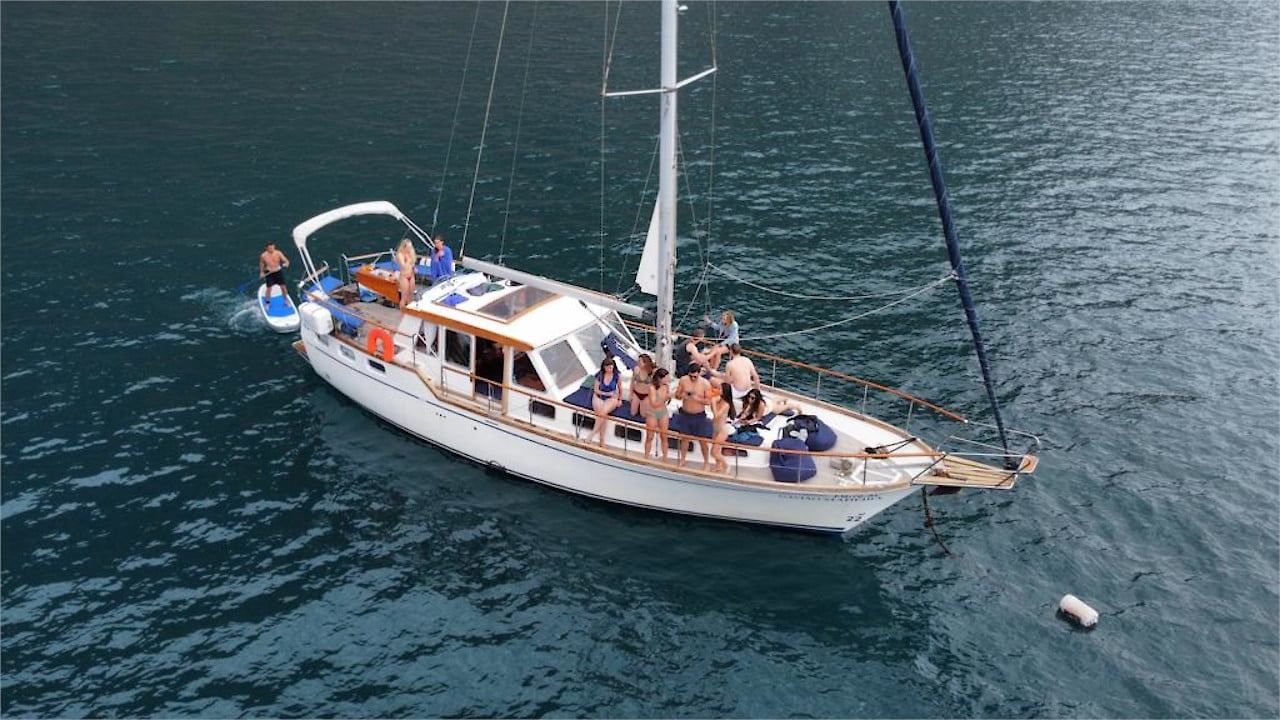 Funchal: Sailing Cruise with Whale and Dolphin Watching