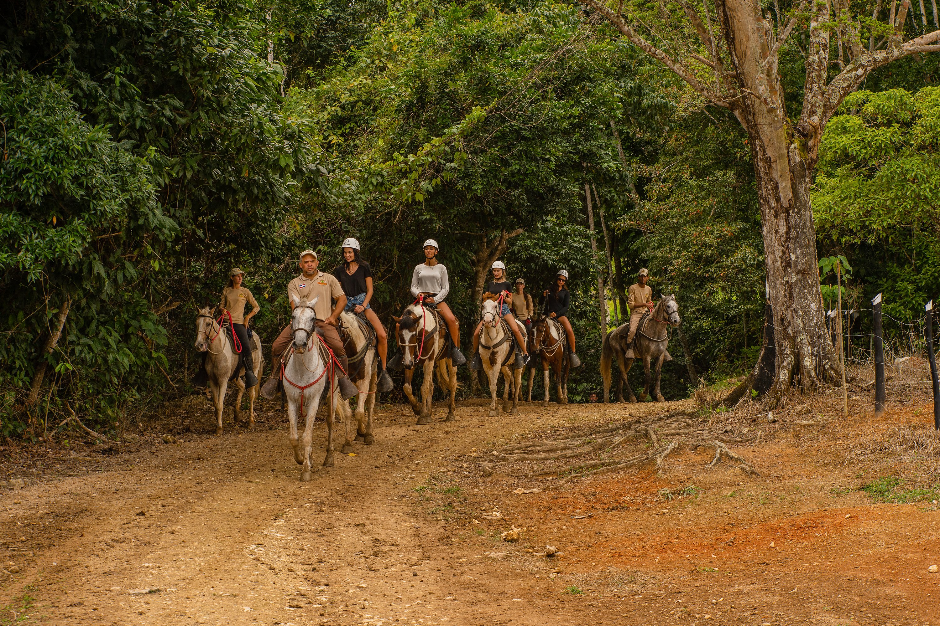 La Hacienda Park Punta Cana: Ziplines, Buggy, Chairlift & Horseback Combo