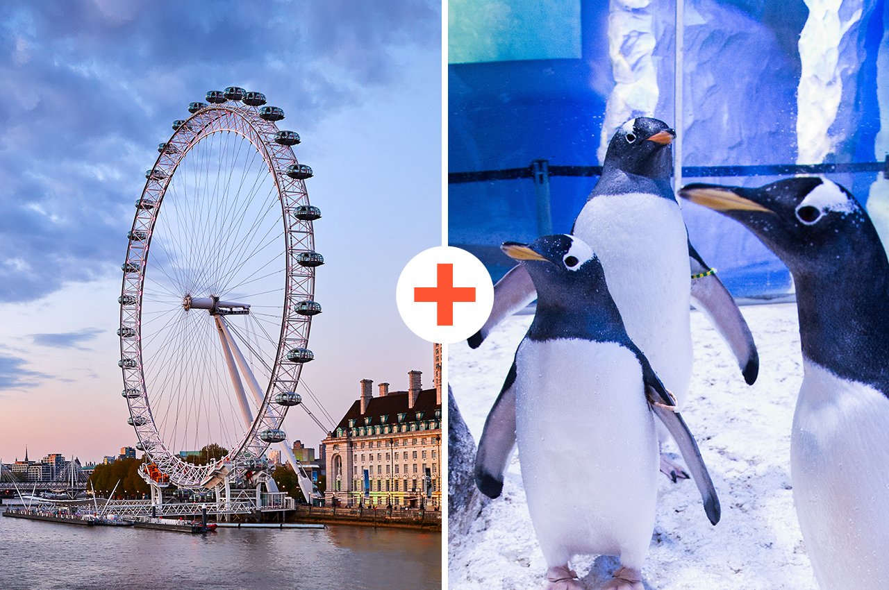 SEA LIFE Aquarium & London Eye Dual Experience