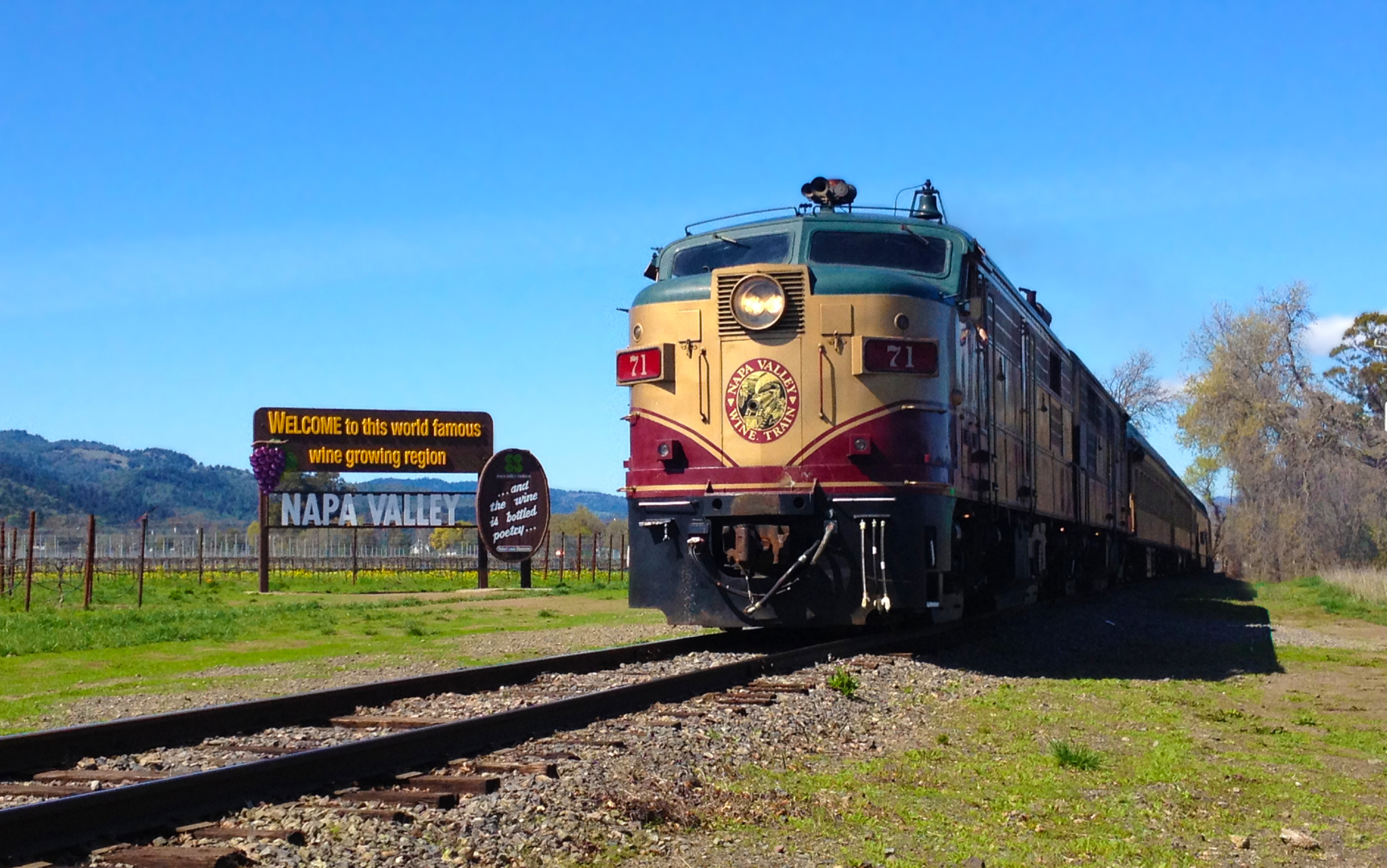 Napa Valley Wine Train: Gourmet Lunch or Dinner Journey