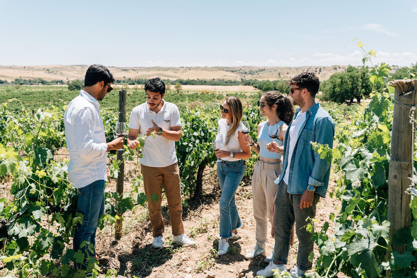 wine tour in Madrid — photo 10