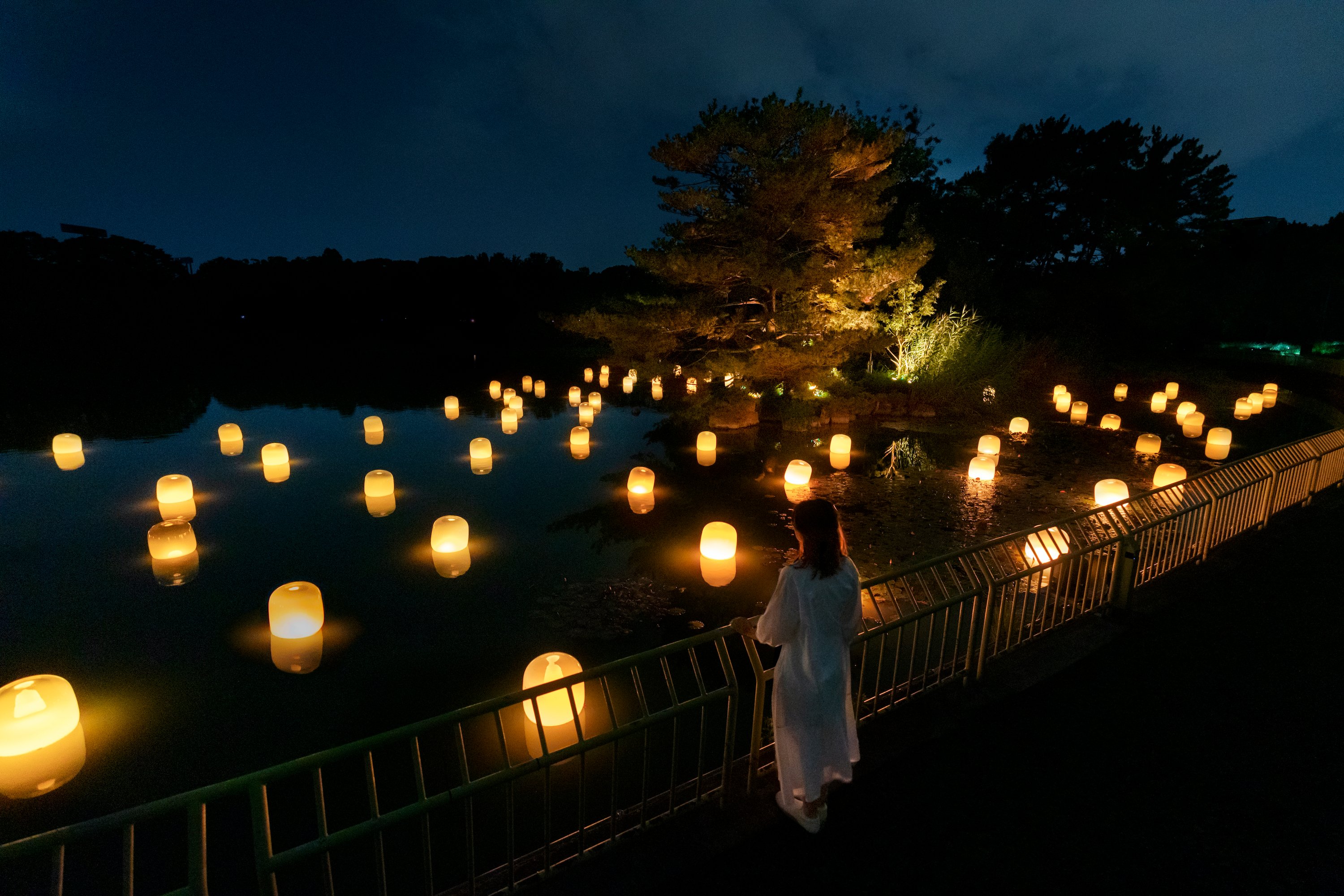 Osaka: teamLab Botanical Garden Night Entry