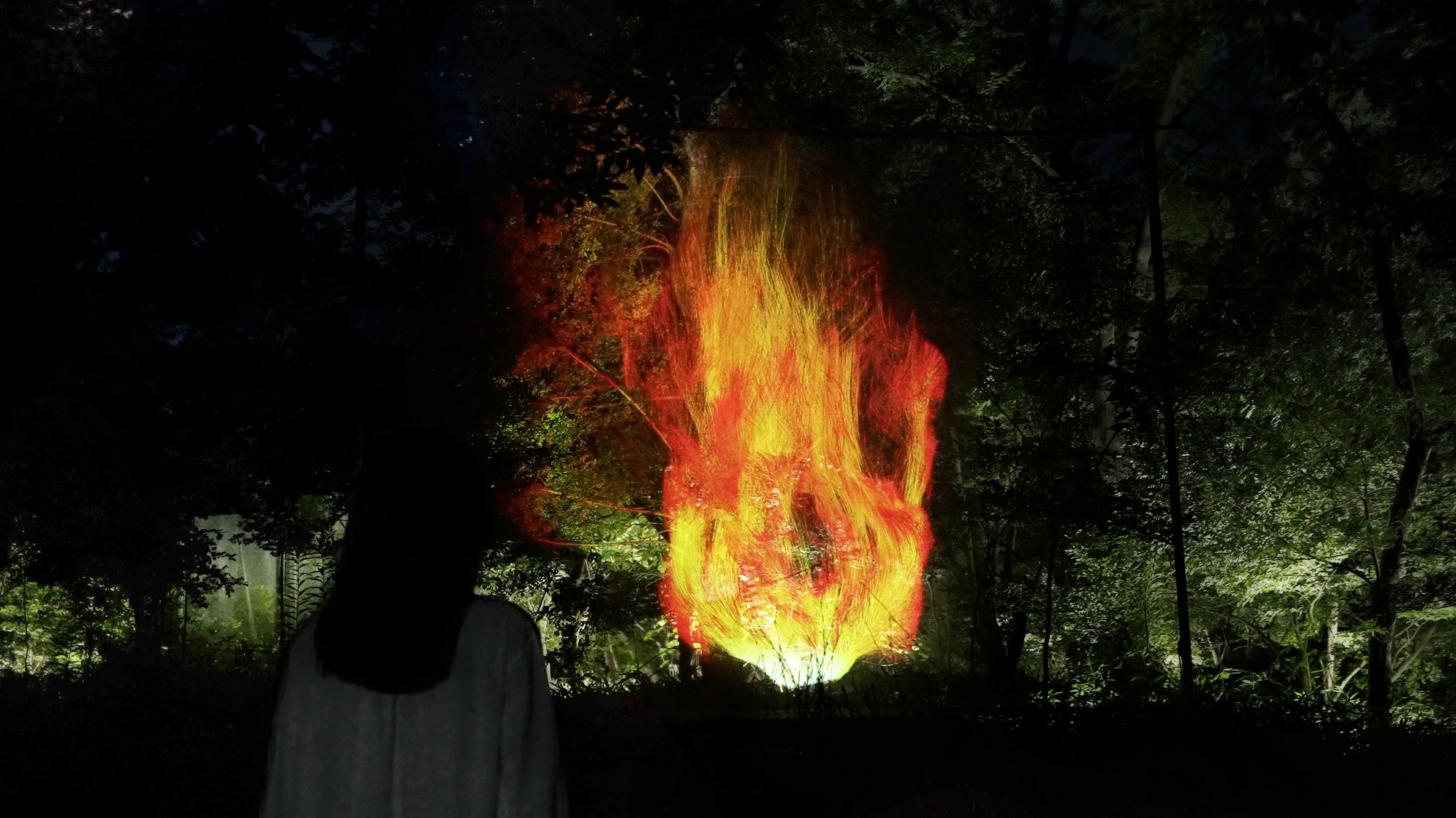 Osaka: teamLab Botanical Garden Night Entry