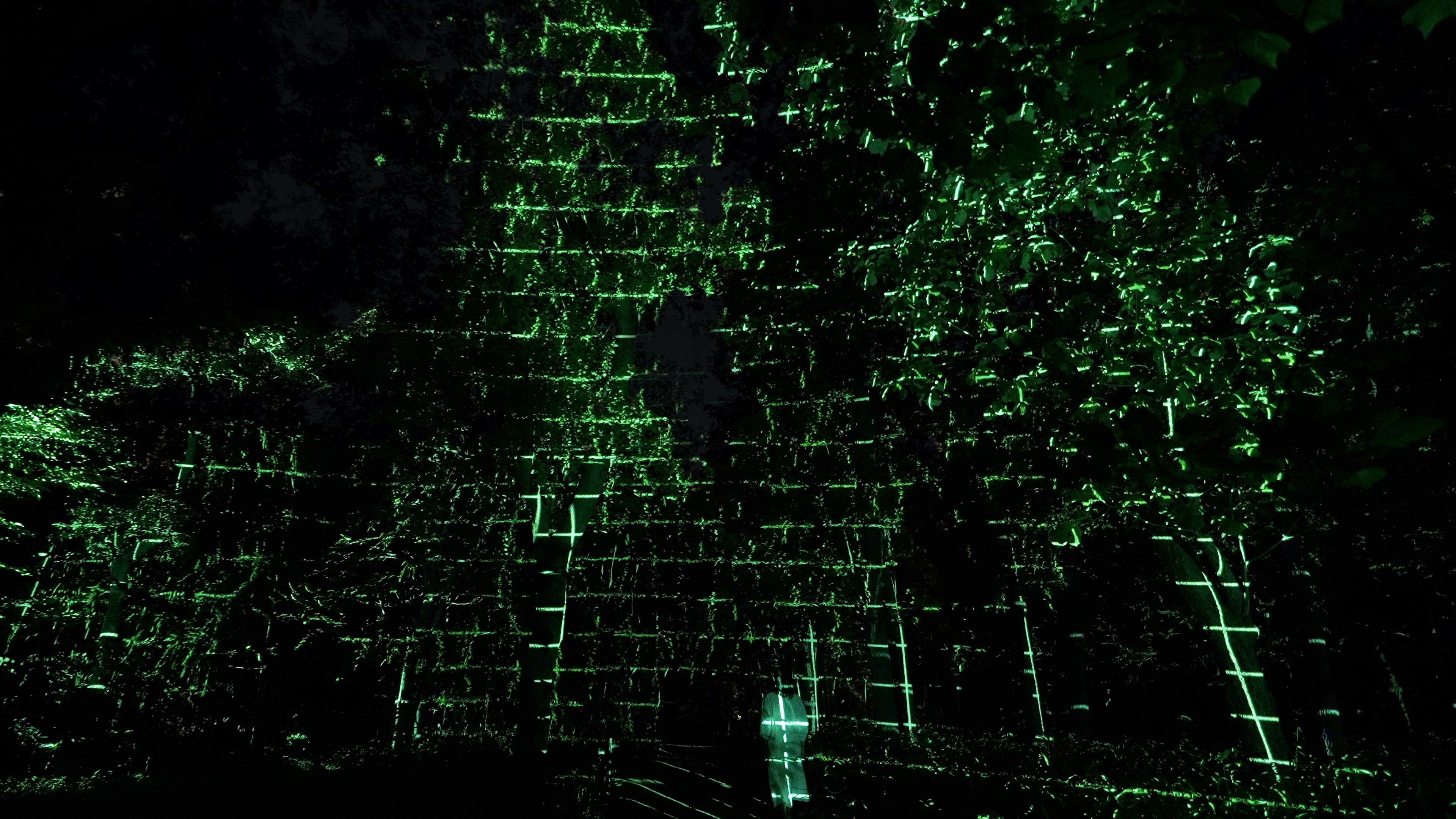 Osaka: teamLab Botanical Garden Night Entry