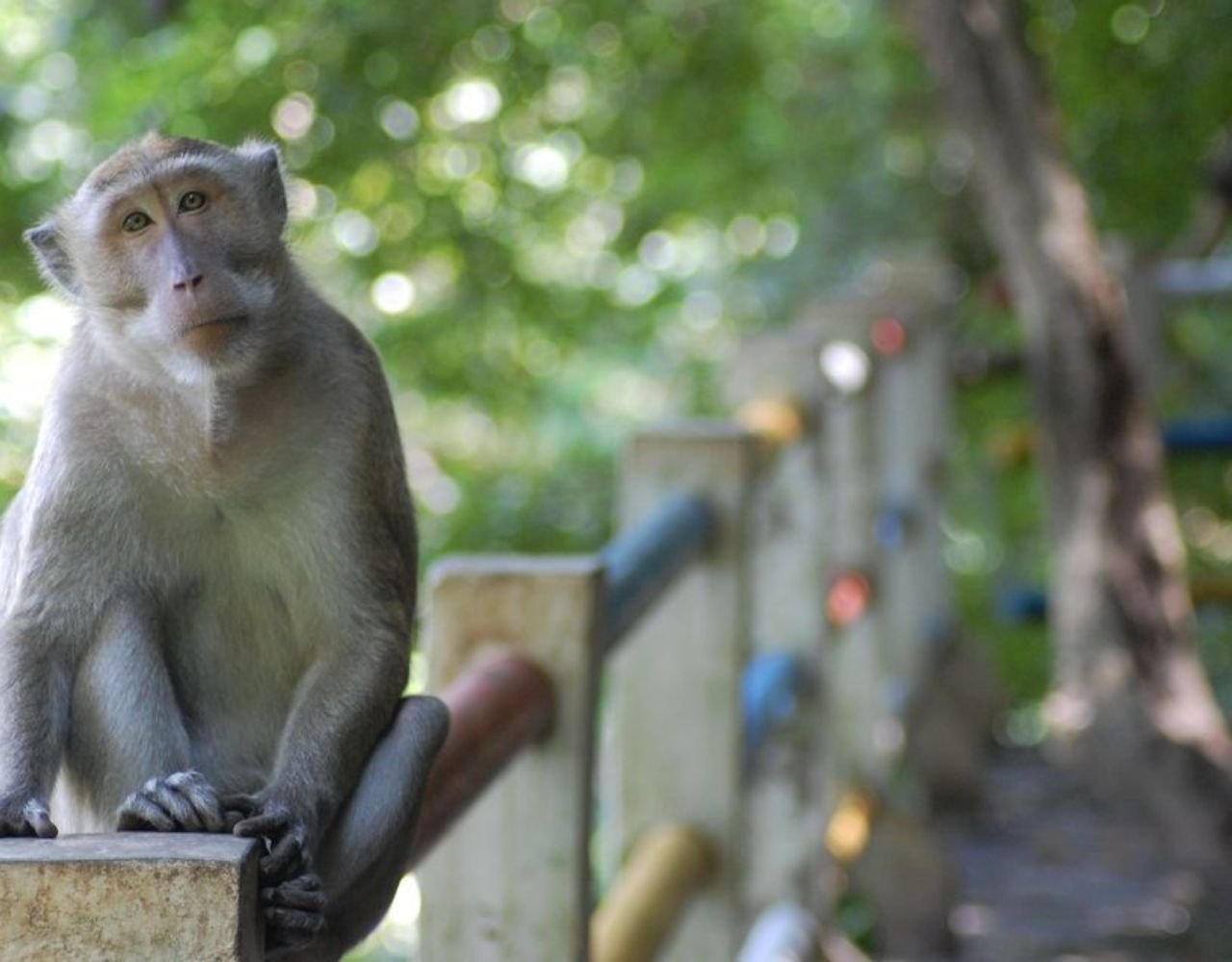 Phuket: James Bond Island & Sea Canoe Full-Day Adventure