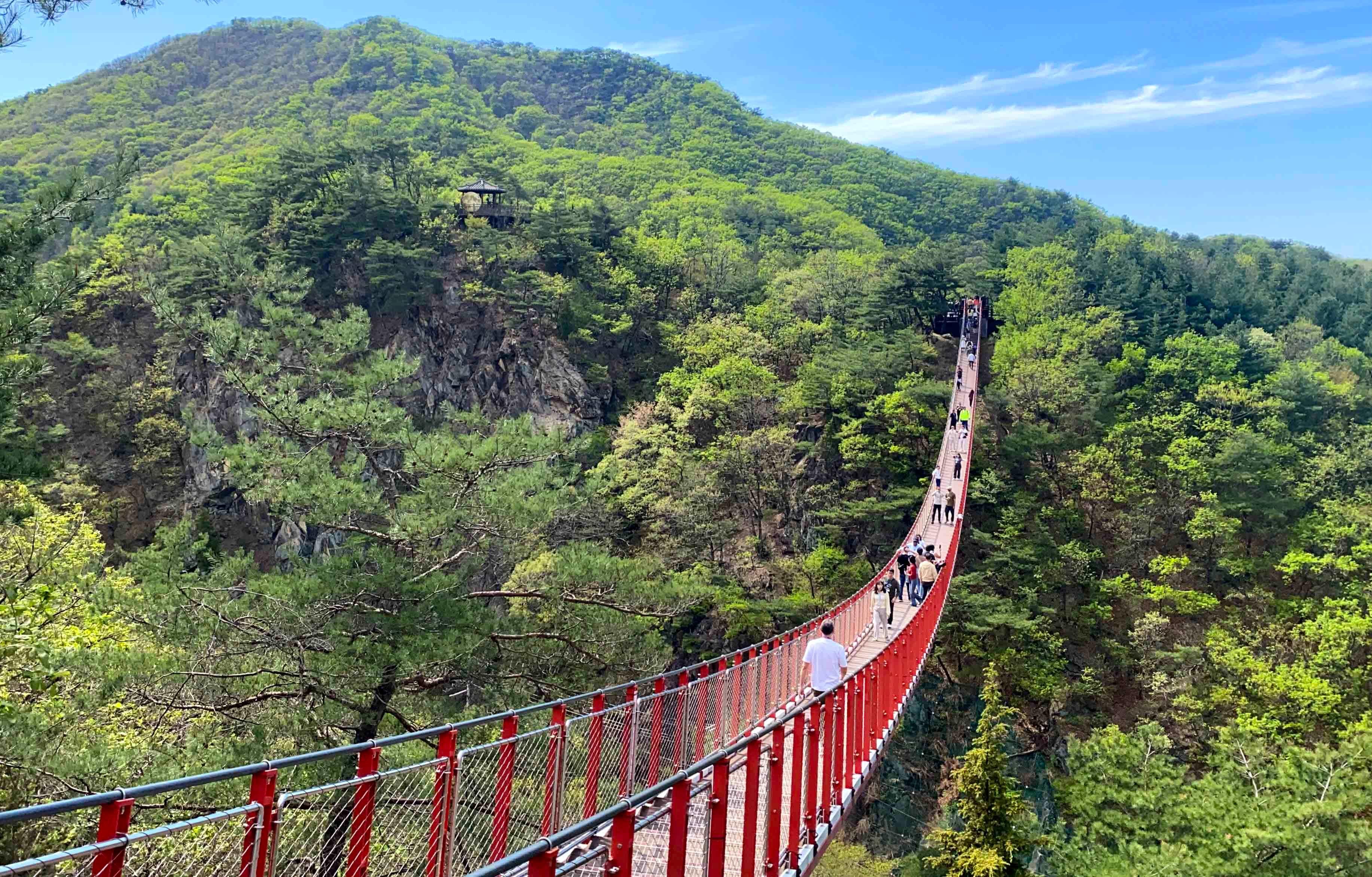 Seoul DMZ Day Tour: 3rd Tunnel, Dora Observatory & North Korean Defector Encounter