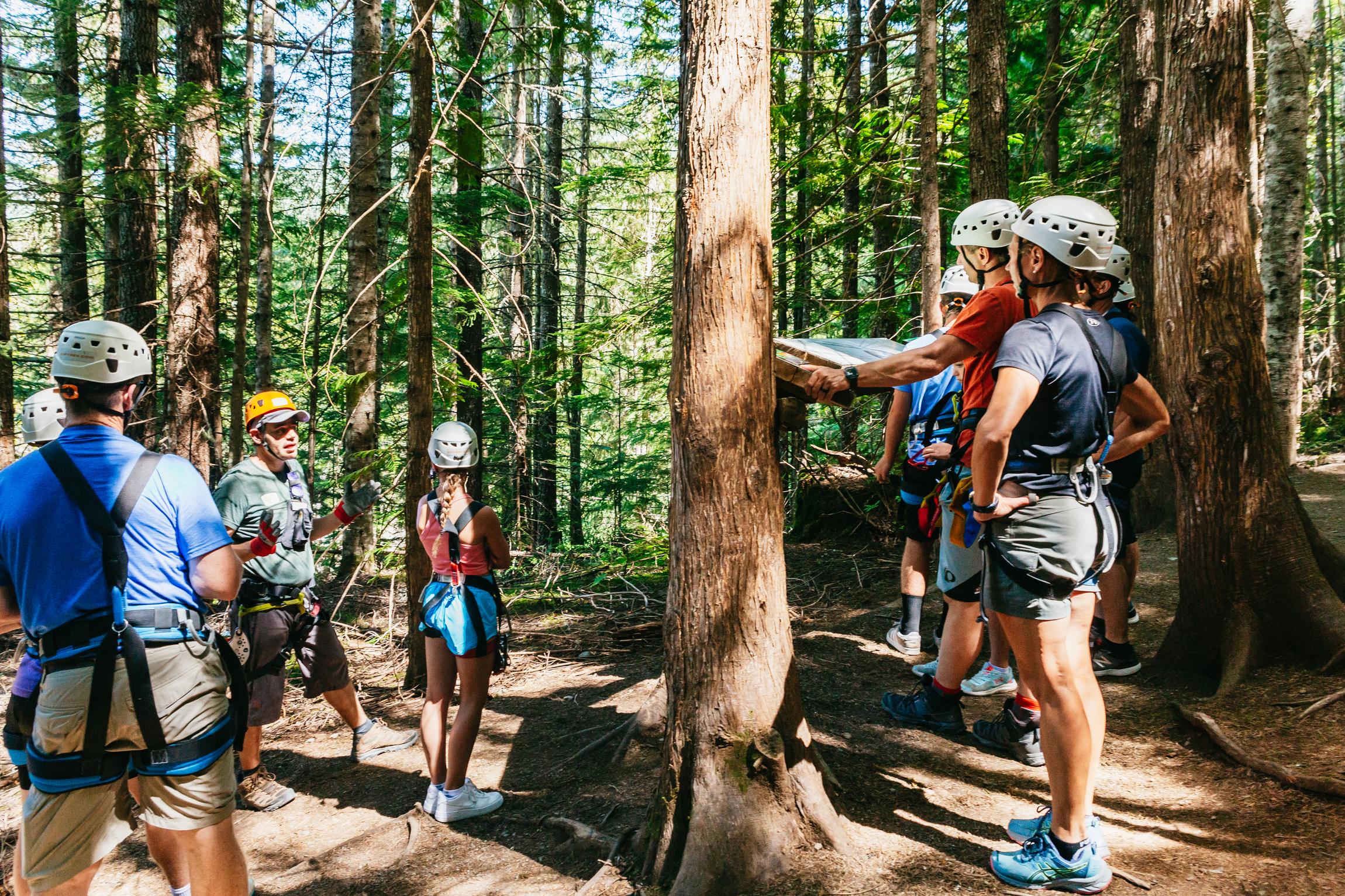 Whistler zipline experience with Ziptrek — flying across the Fitzsimmons Valley, British Columbia — image 13