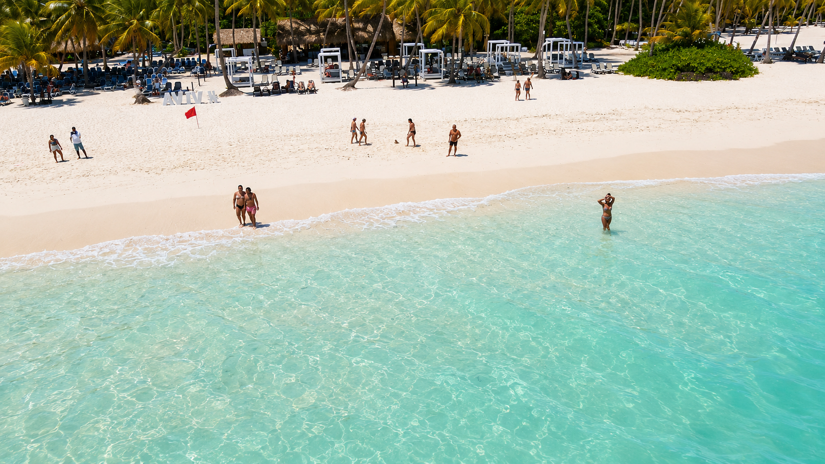 Saona Island Full-Day Adventure from Punta Cana
