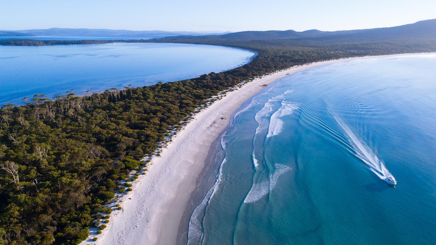 Maria Island & Ile Des Phoques Wildlife Cruise