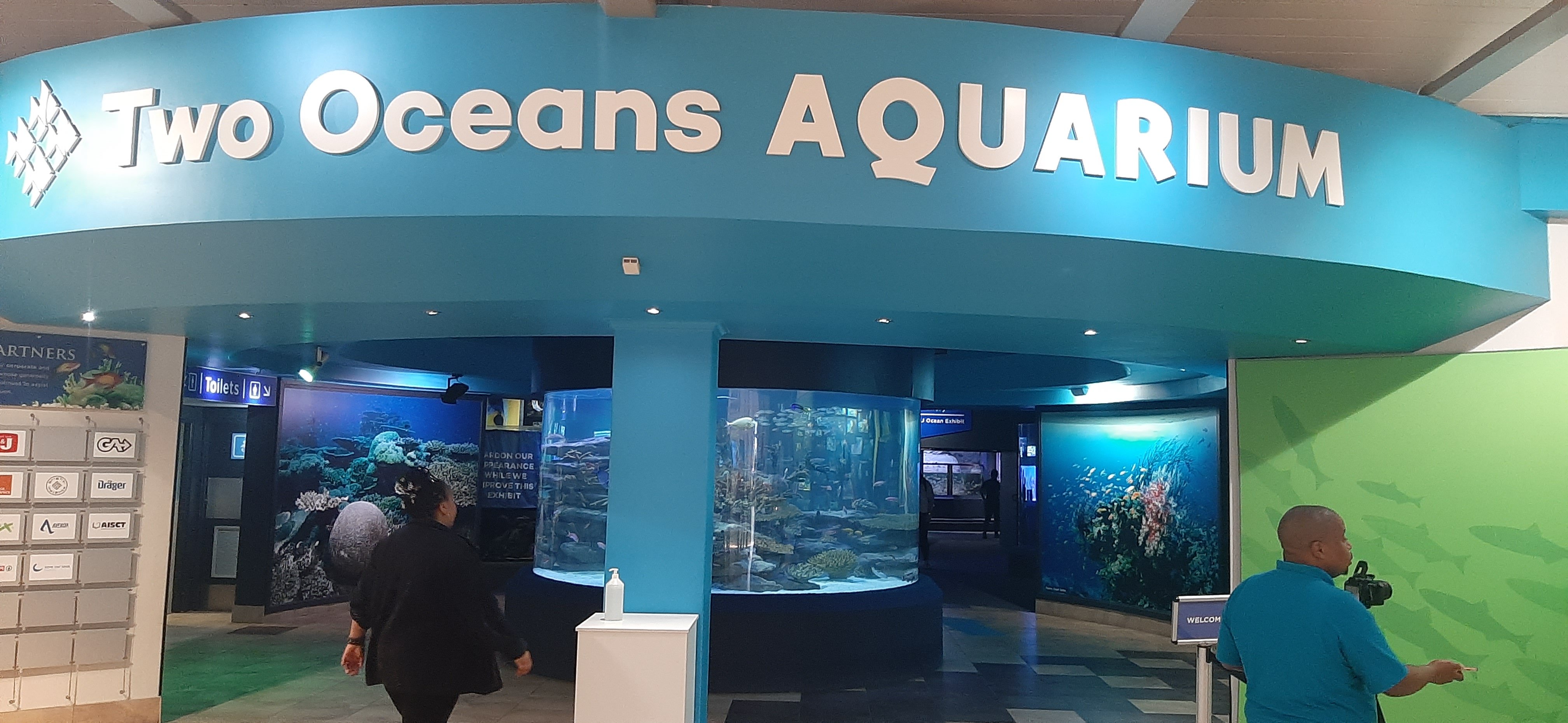 Cape Town Dual Icons: Table Mountain & Robben Island Day Tour