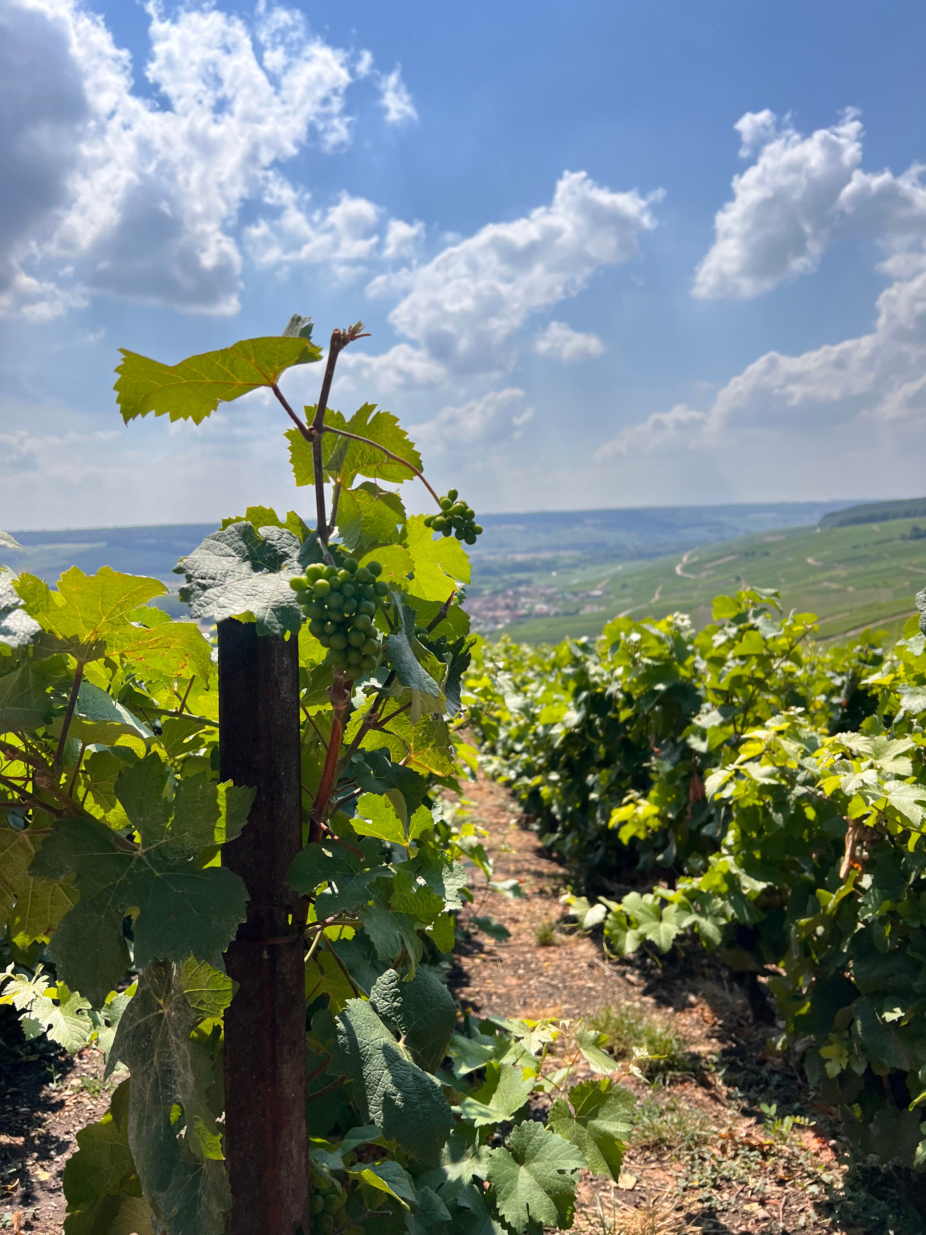 Reims/Epernay: Champagne Day Tour with Tastings