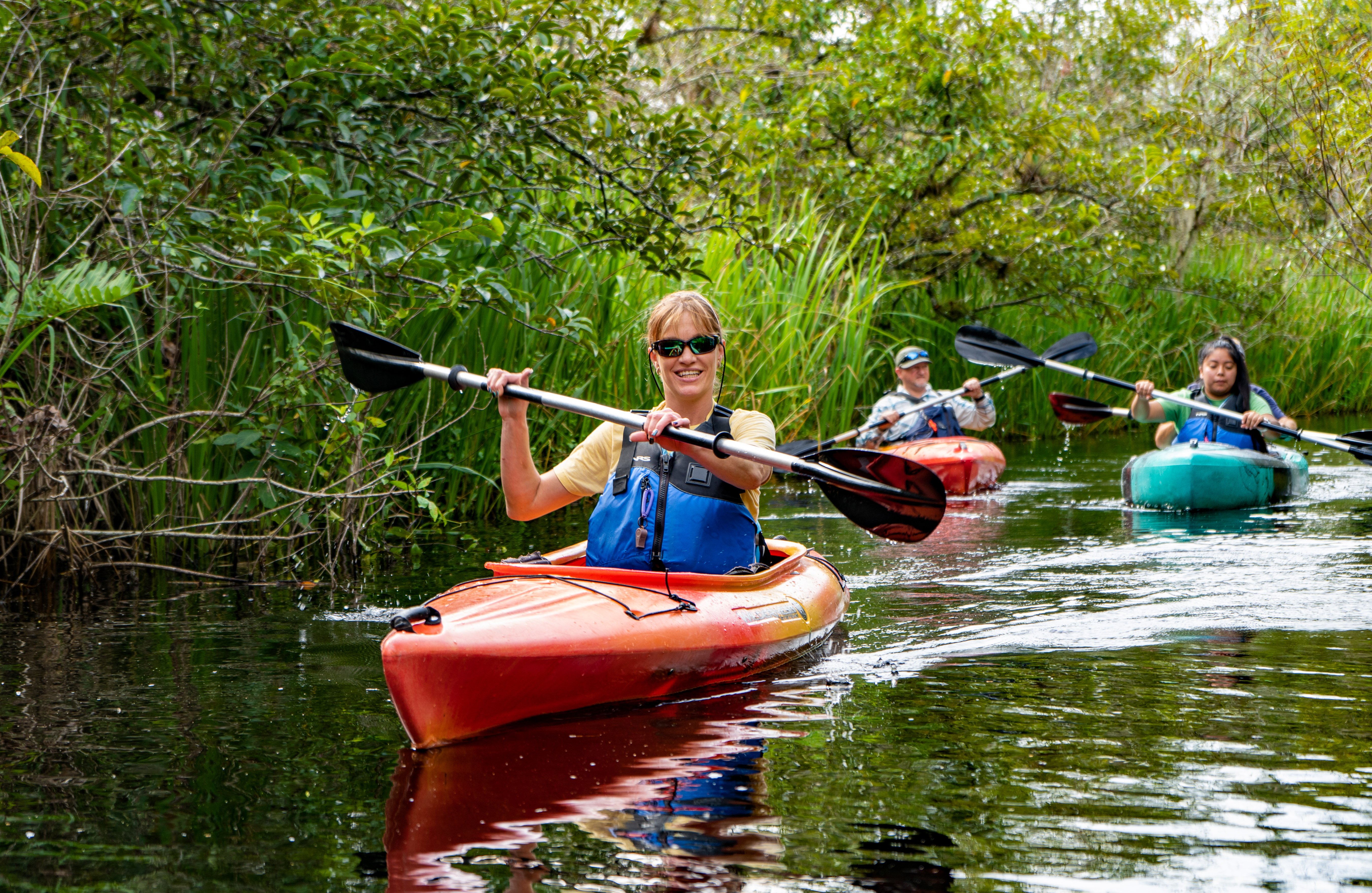 Everglades Mangrove Kayaking Expedition
