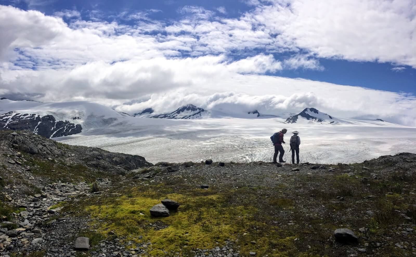 From Seward: Harding Icefield Trail Hiking Tour