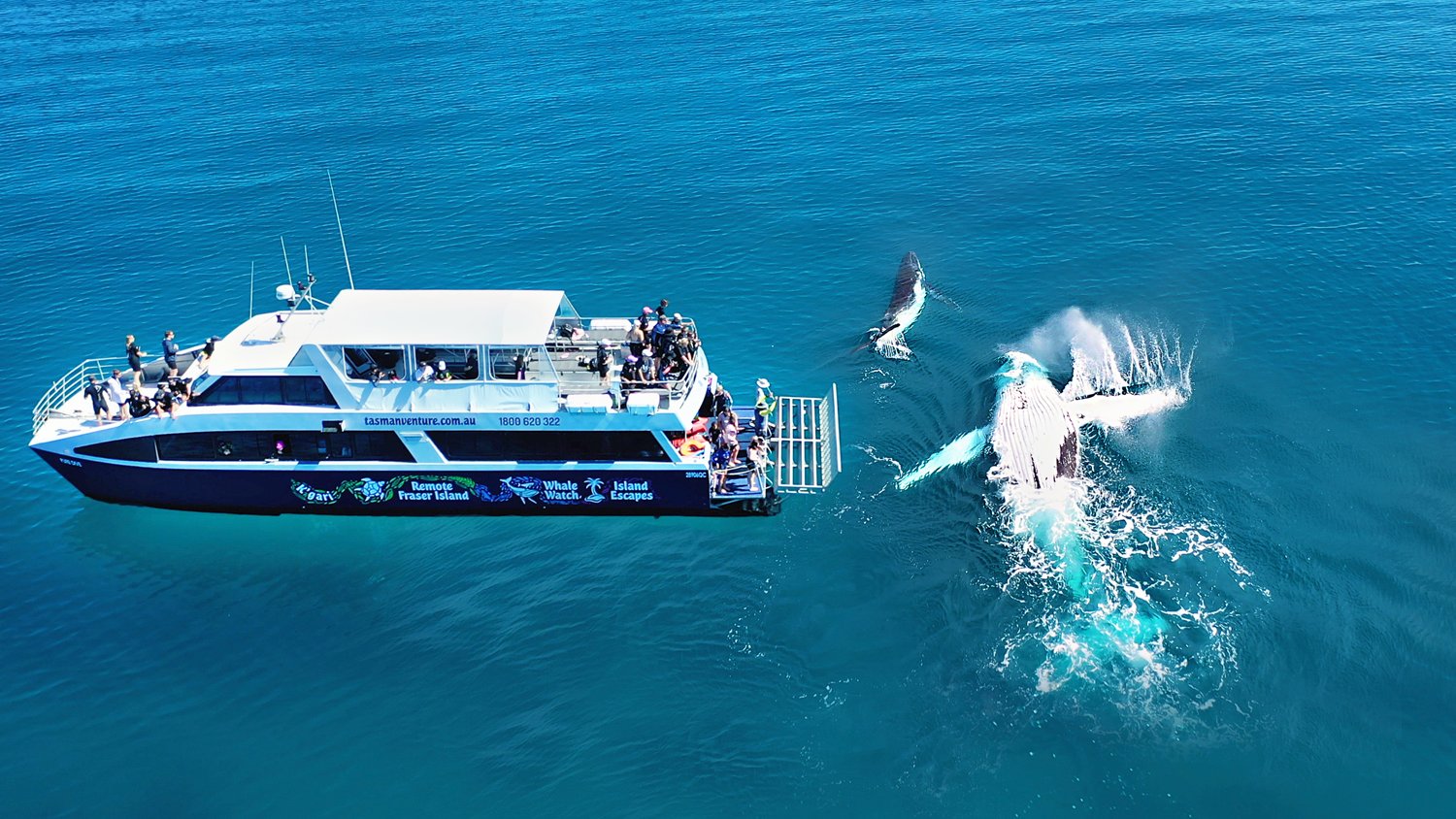 K'gari Remote Island & Humpback Whale Day Tour from Hervey Bay