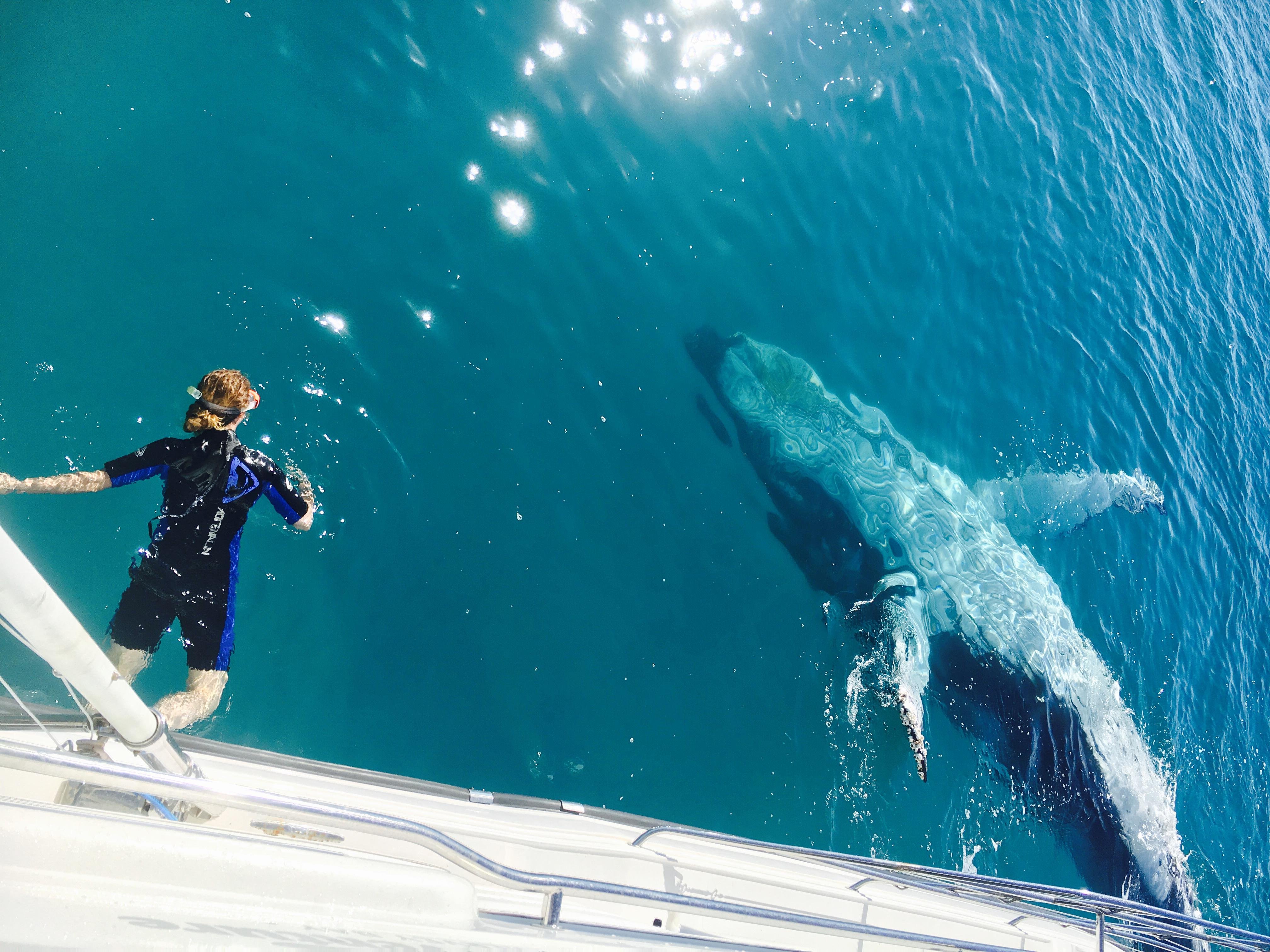 Fraser Island (K'gari): Remote Island and Whale Experience