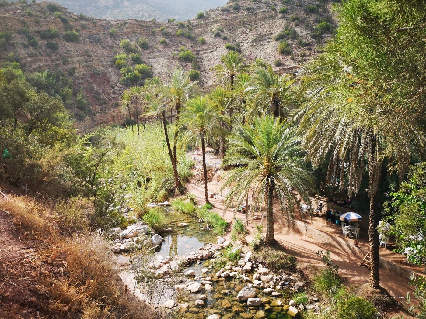 Paradise Valley and Desert Dune Camel Trek from Agadir
