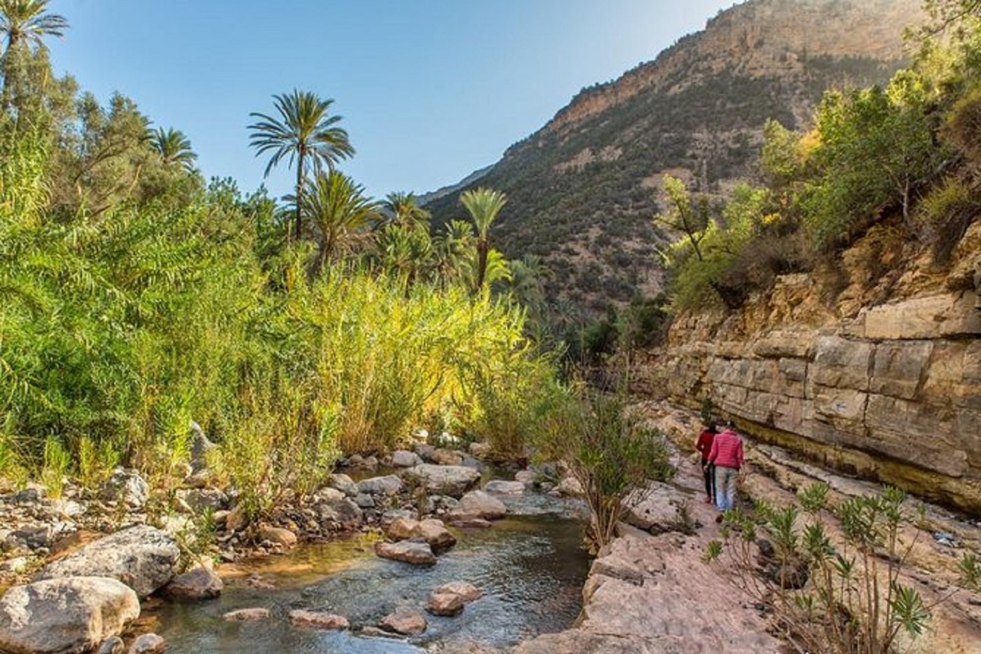 Paradise Valley and Desert Dune Camel Trek from Agadir