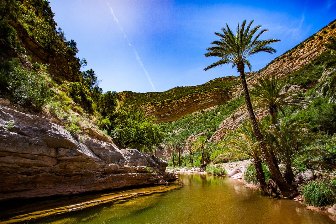 Paradise Valley and Desert Dune Camel Trek from Agadir