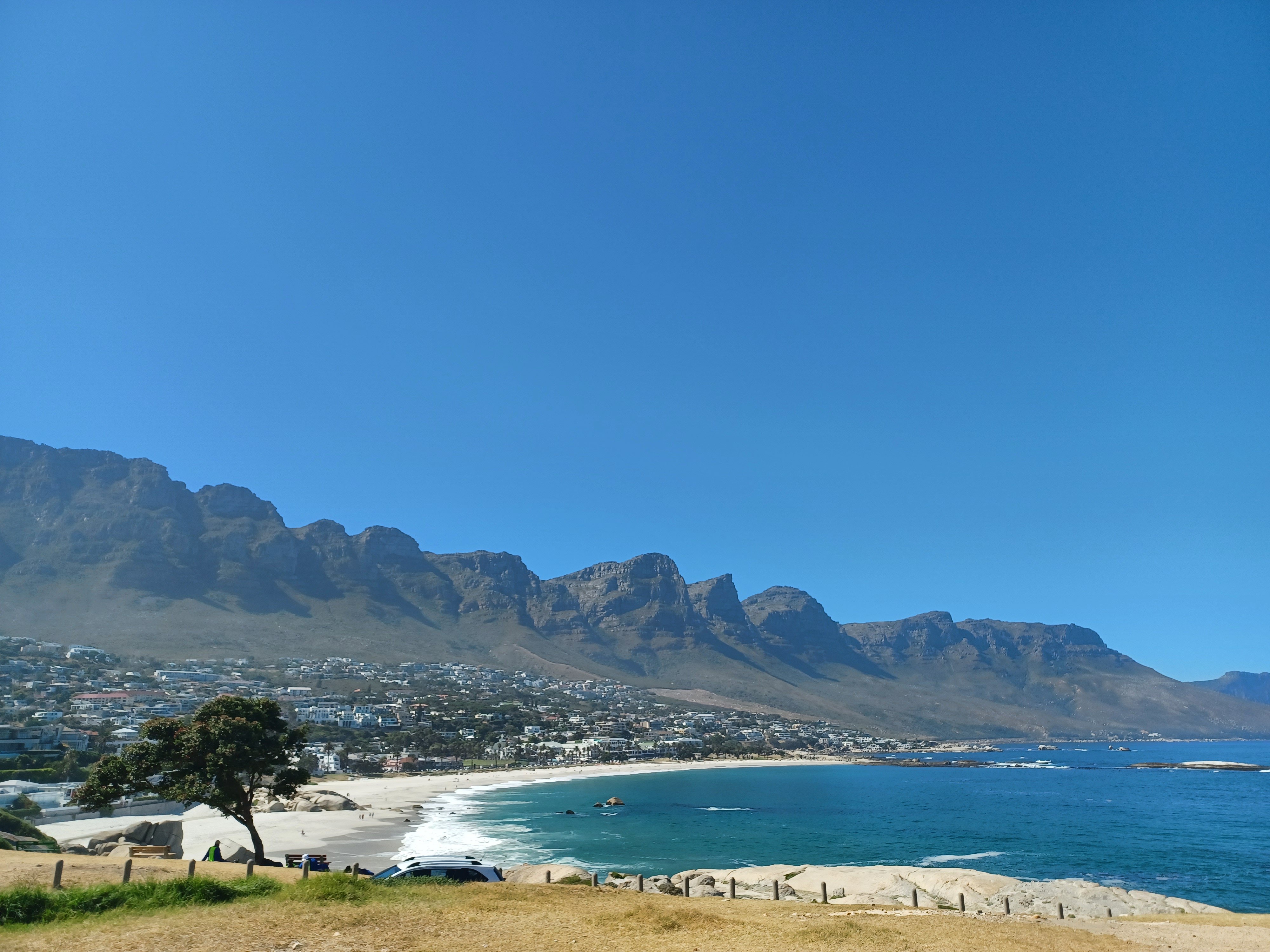 Cape Point & Penguin Colony Half-Day Tour