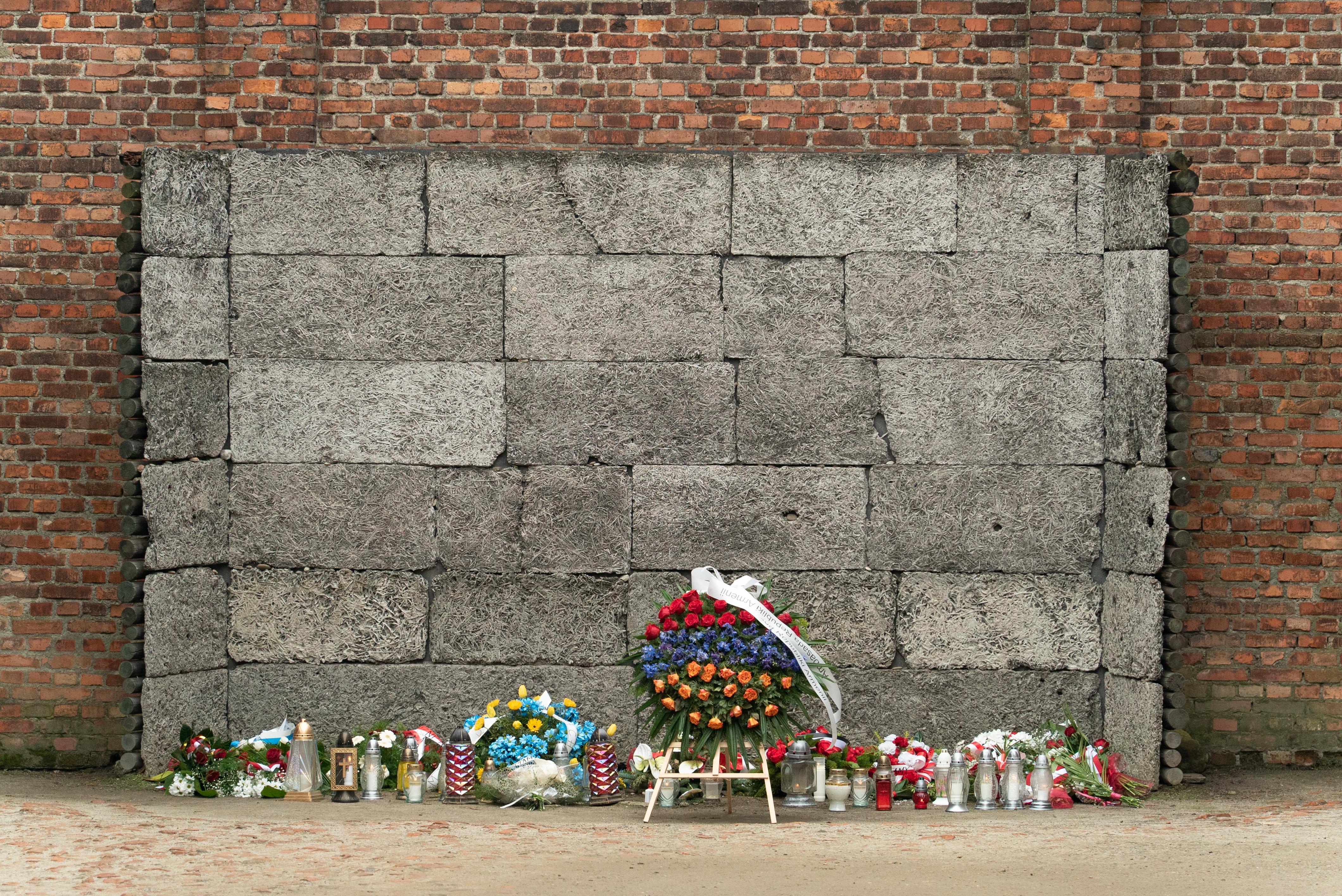 Auschwitz-Birkenau Guided Memorial Tour from Krakow