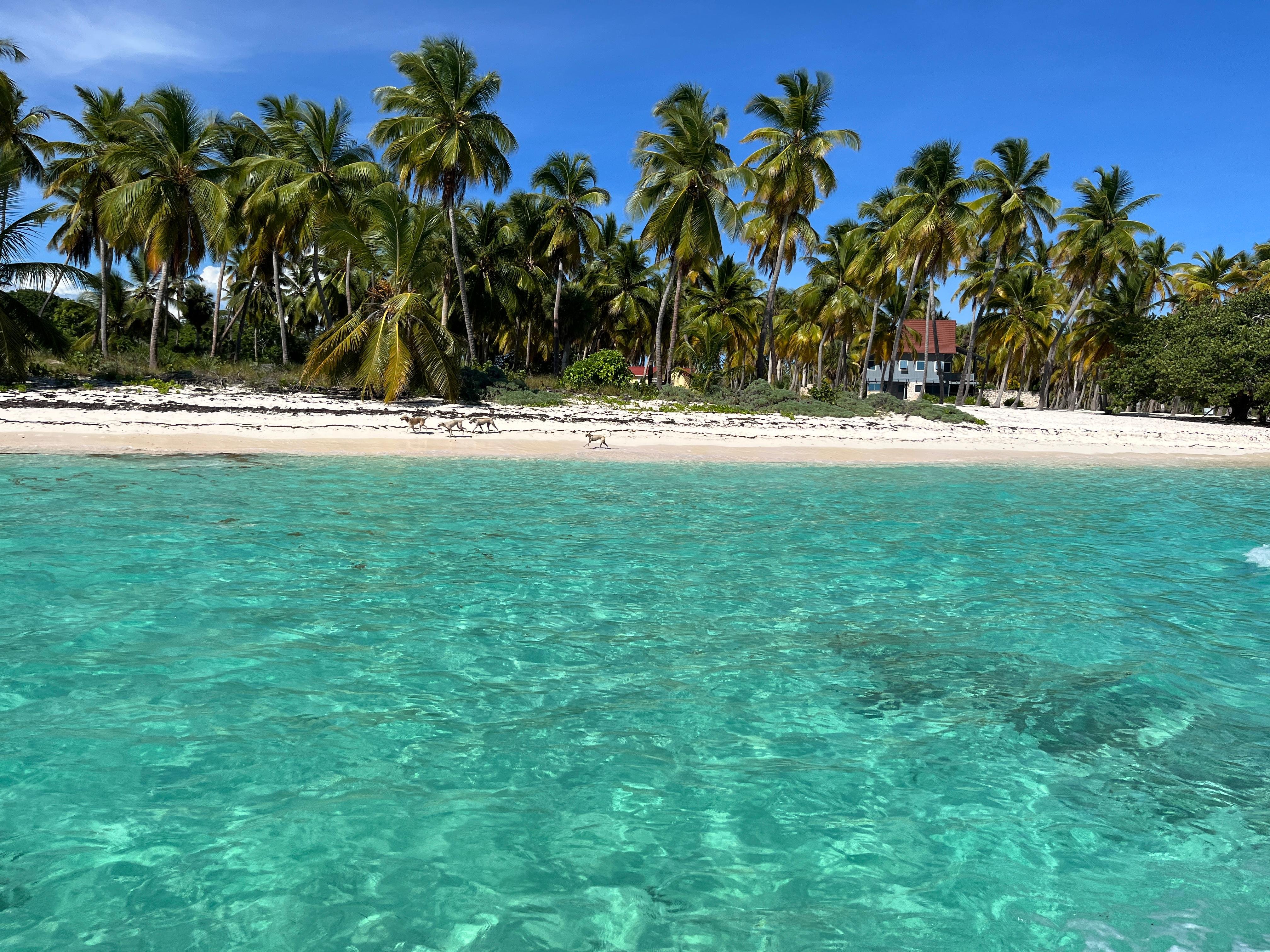 Small Group Saona Island Cruise & Beach Escape