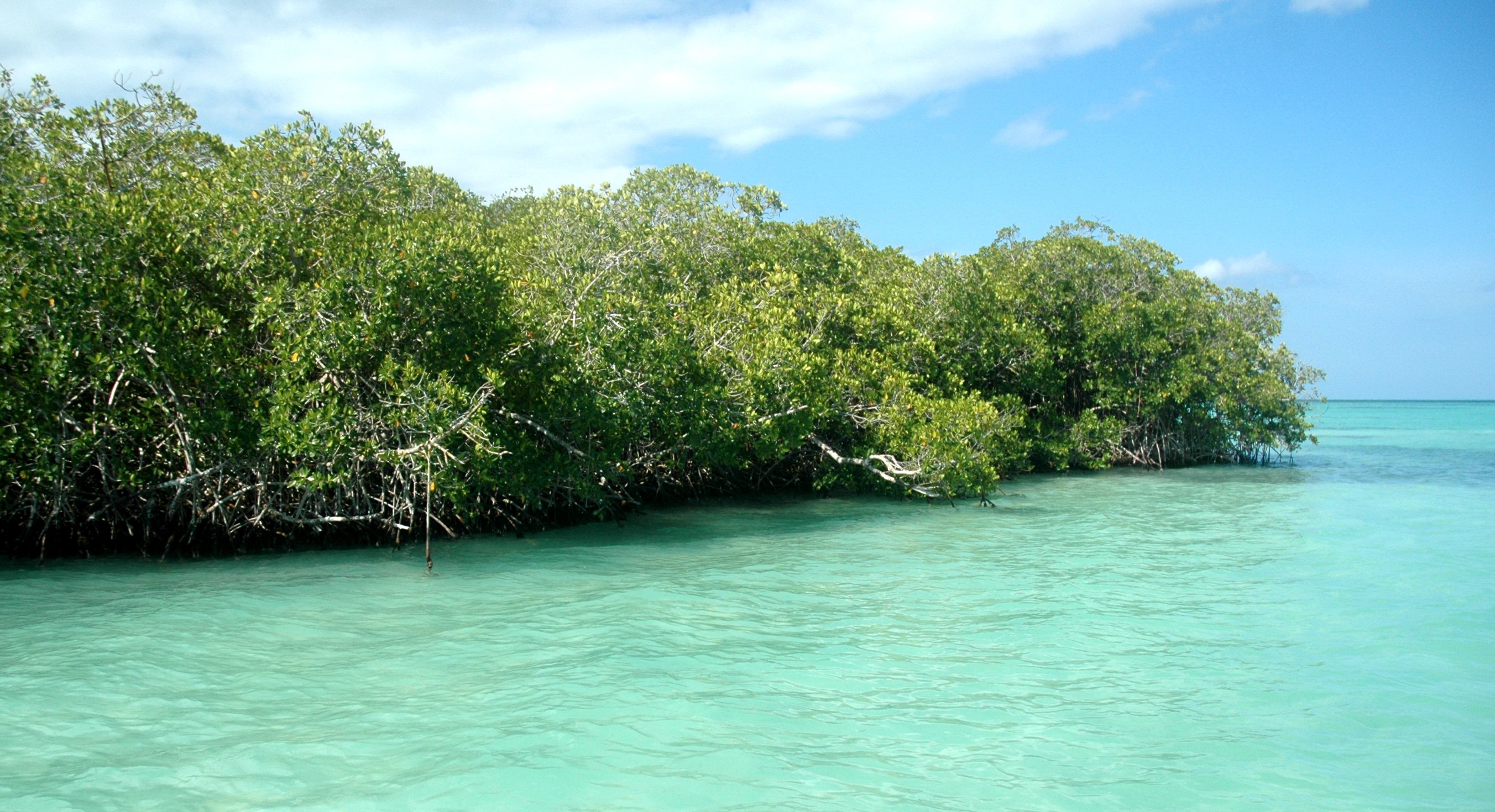 Small Group Saona Island Cruise & Beach Escape