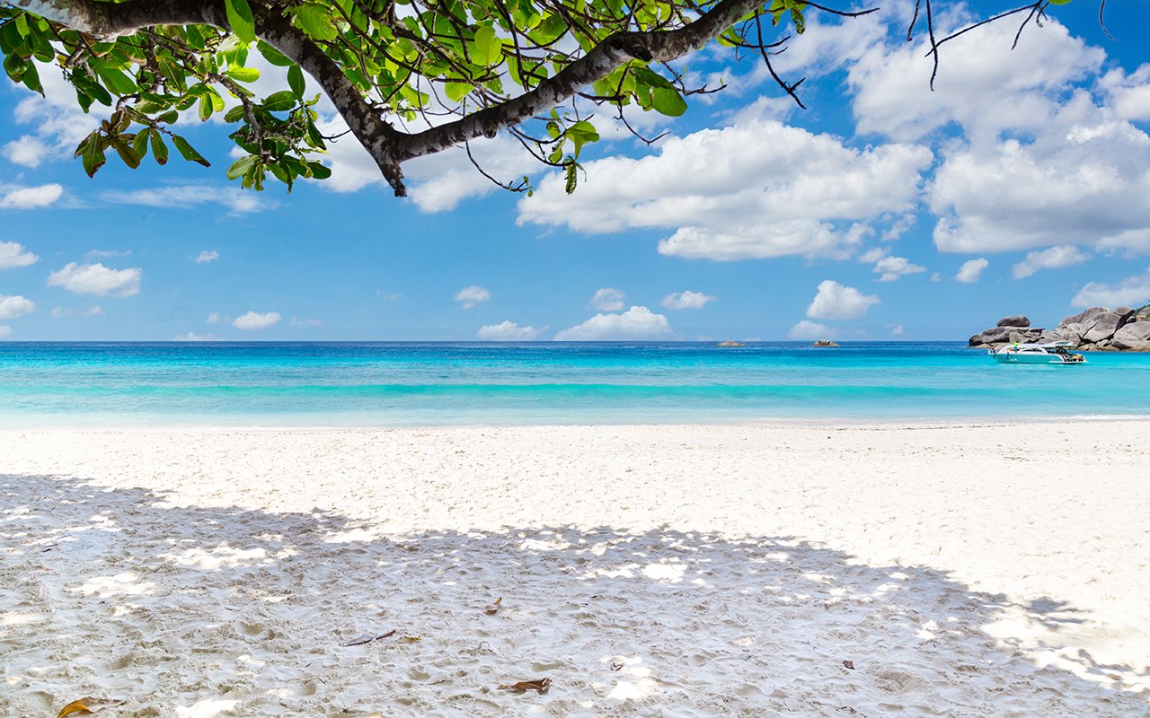 Phuket to Similan Islands: Full-Day Speedboat Snorkel Adventure