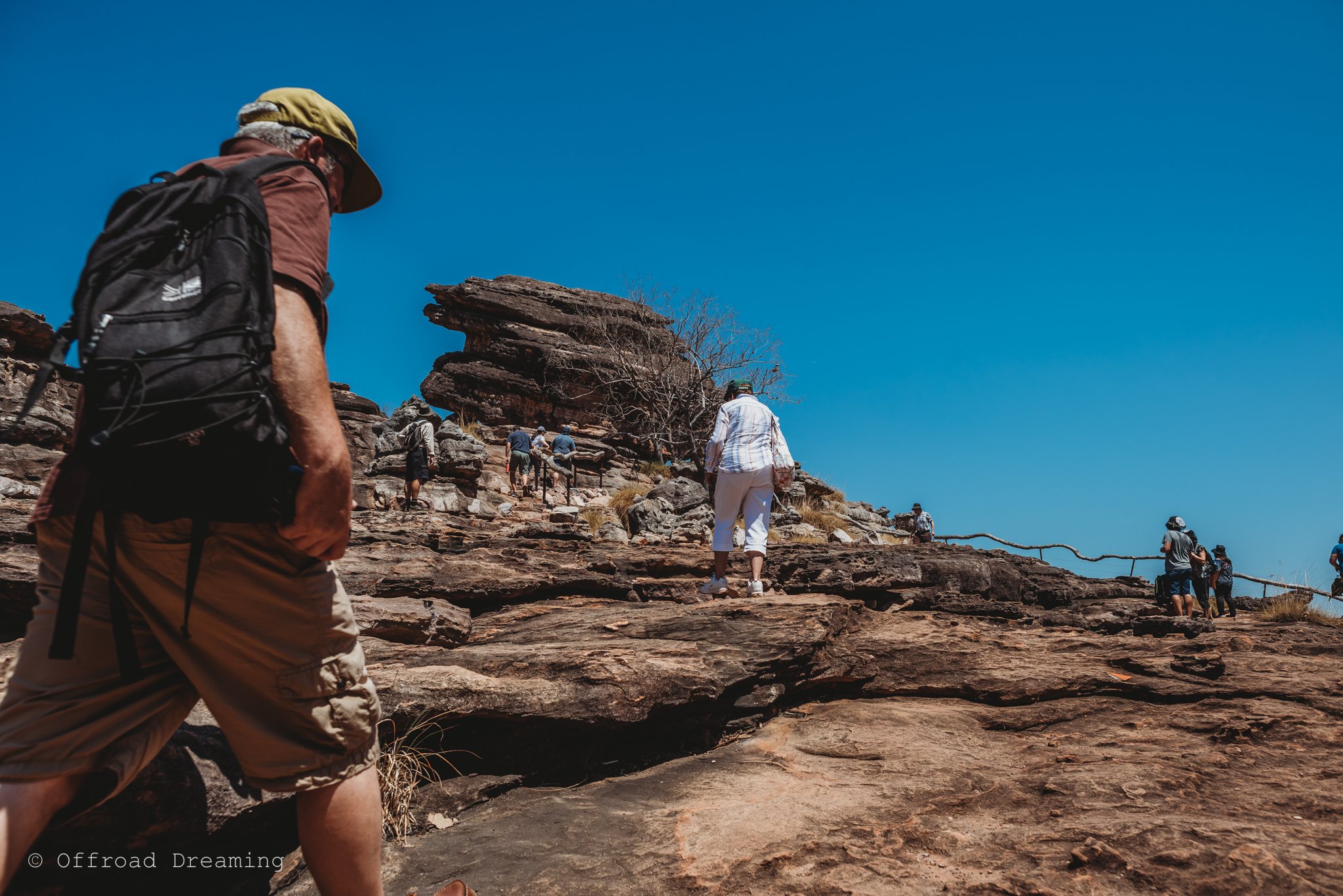 Kakadu National Park Full-Day Adventure from Darwin