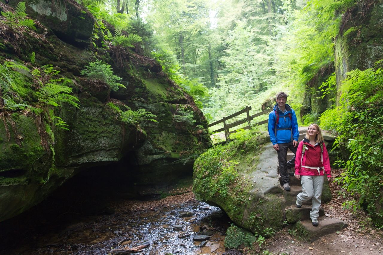 Luxembourg Castles & Nature Day Trip