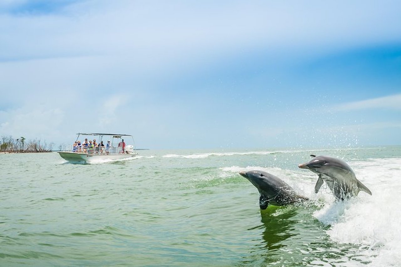 Dolphin Watching Boat Excursion from Goodland