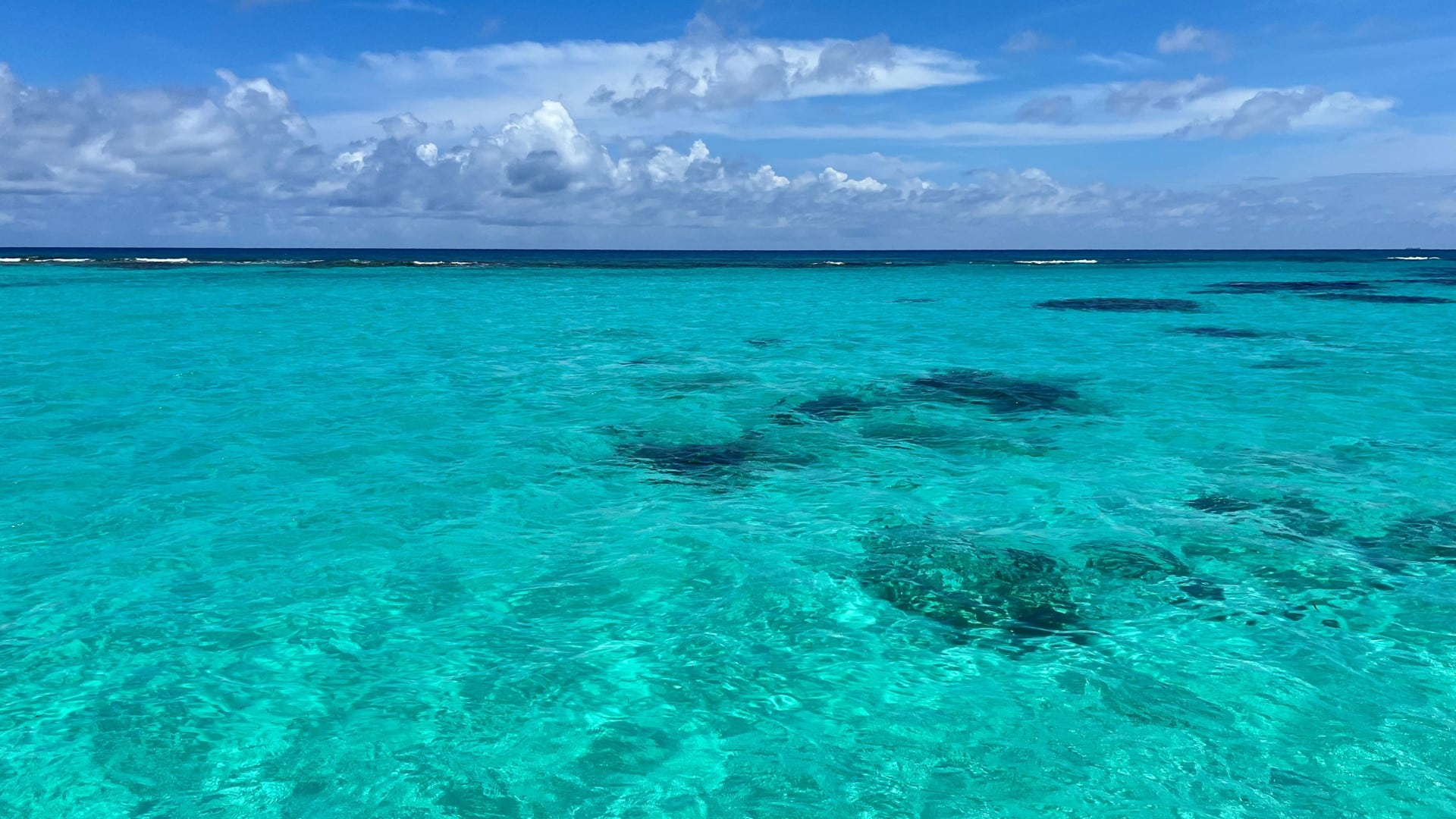 Small Group Saona Island Cruise & Beach Escape