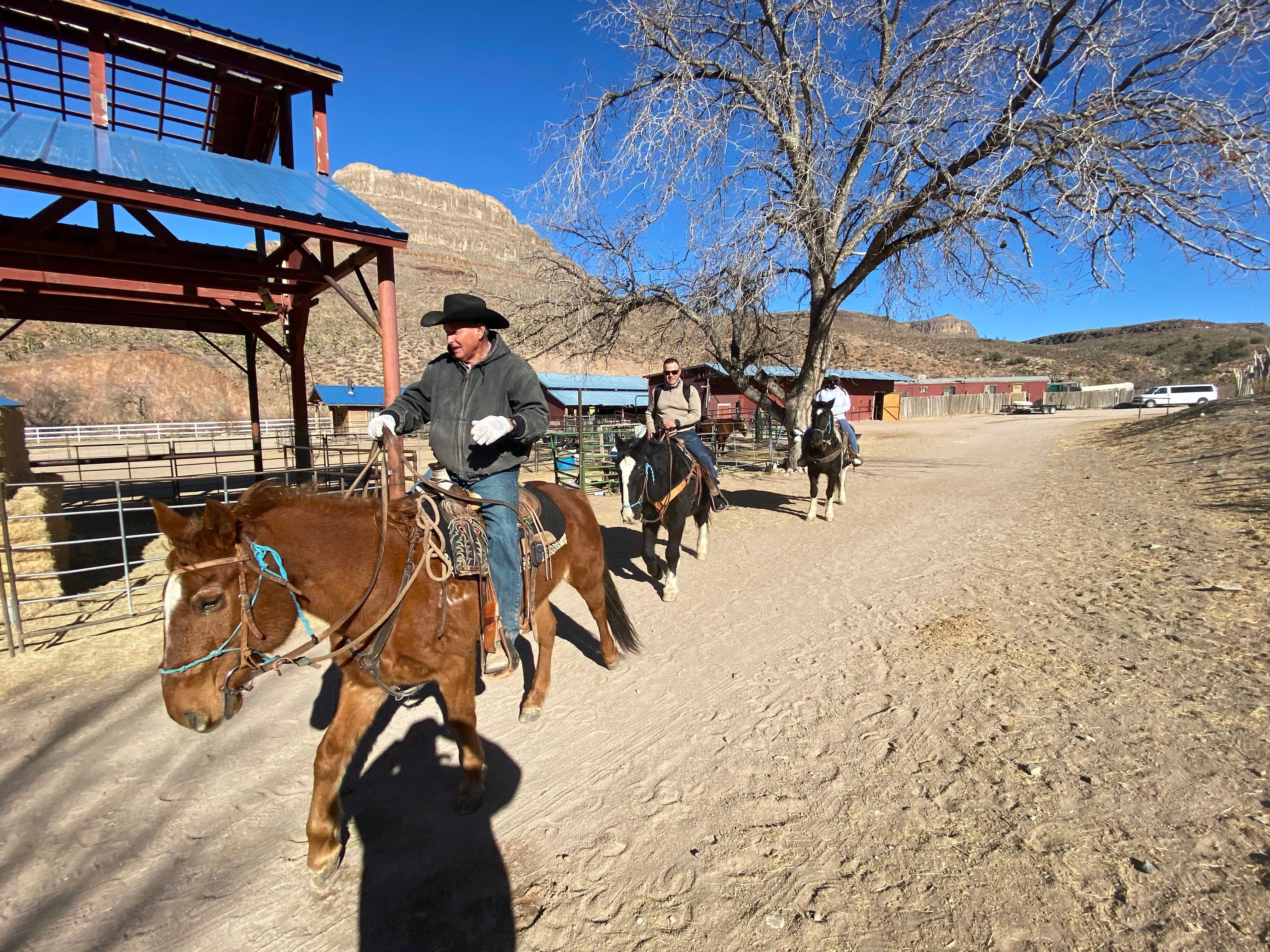 Joshua Tree Forest Horseback Adventure with Buffalo & Cowboy Lunch
