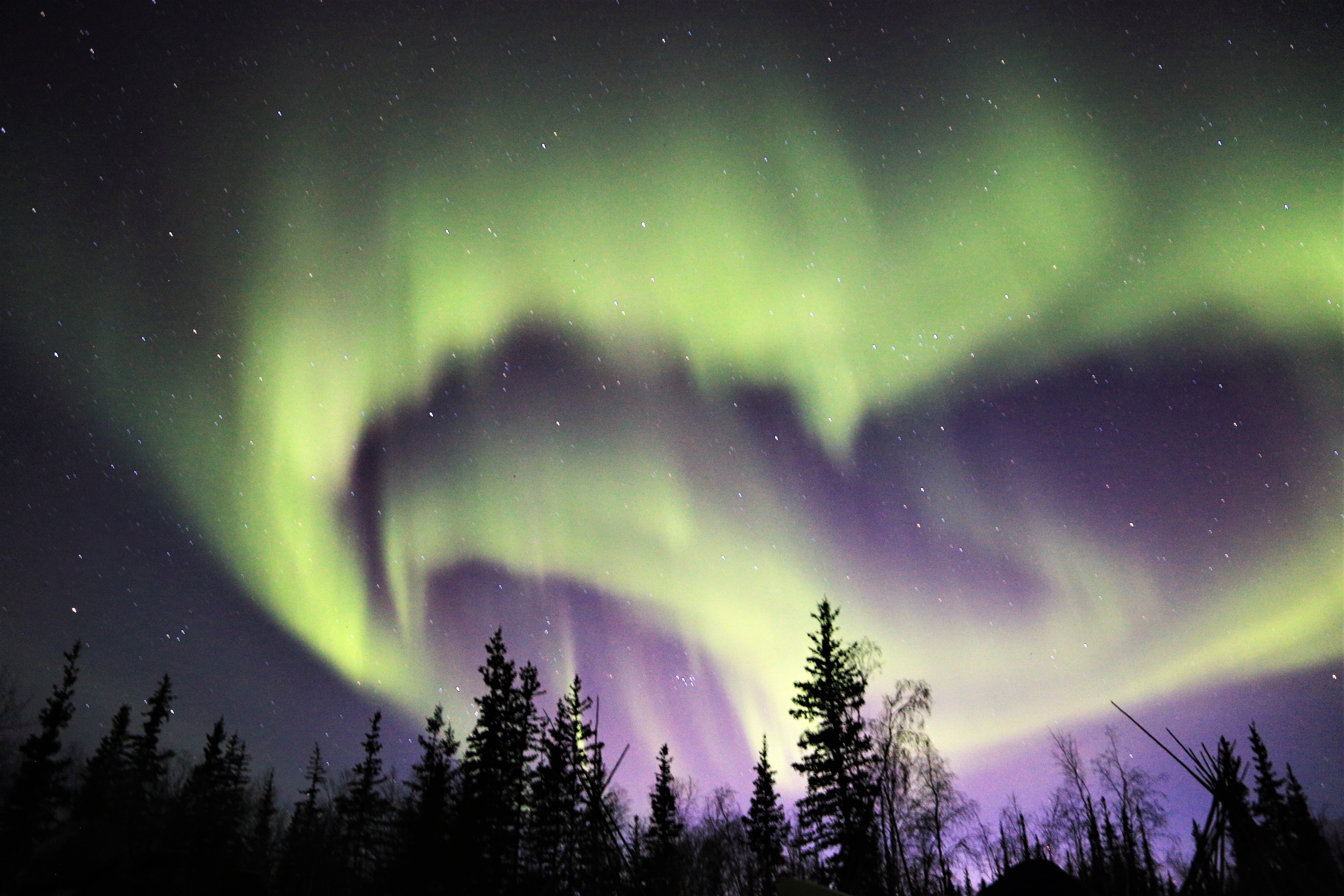Northern lights tour, image 3