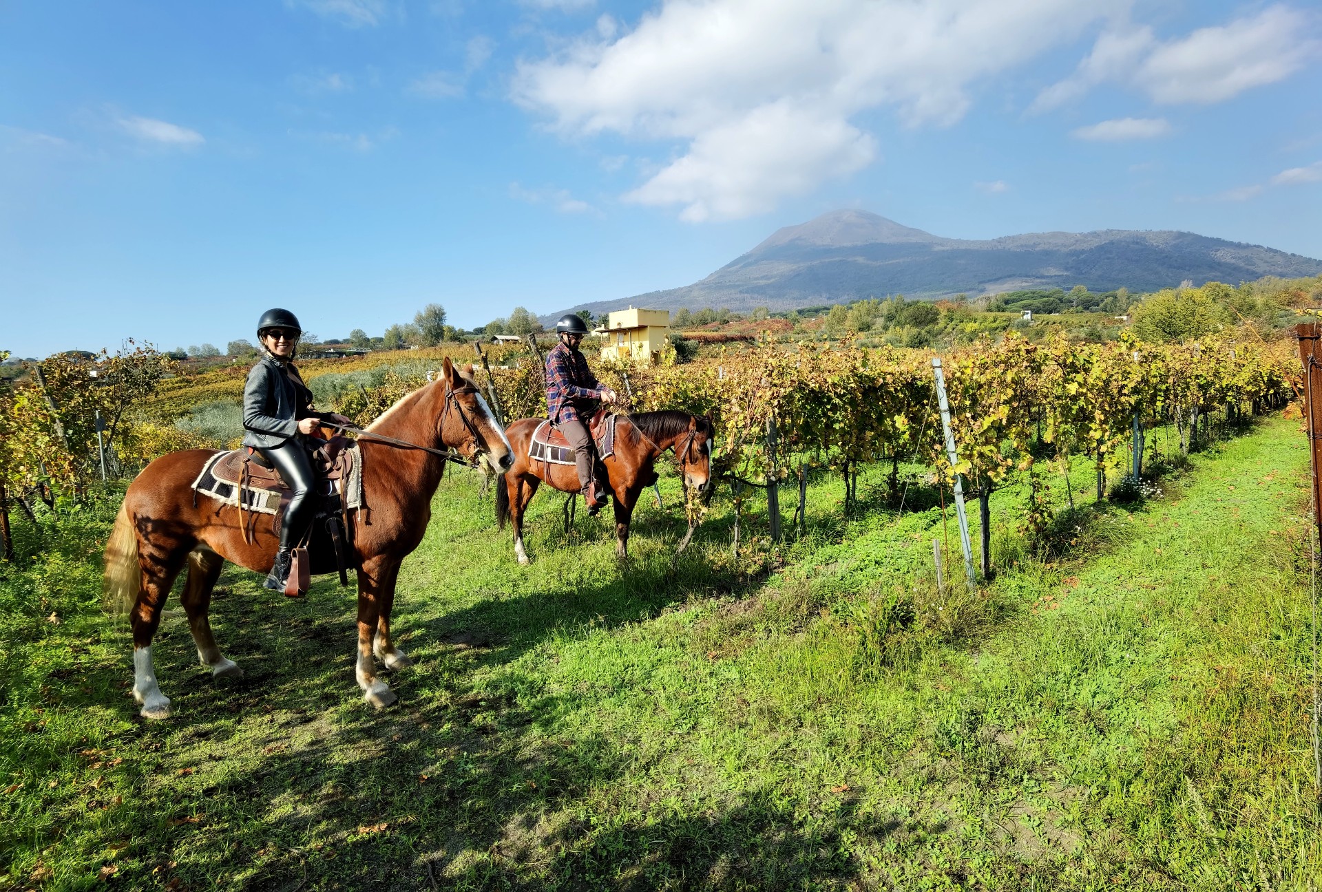 Pompeii Ruins, Horseback Riding & Wine Tasting Day Trip
