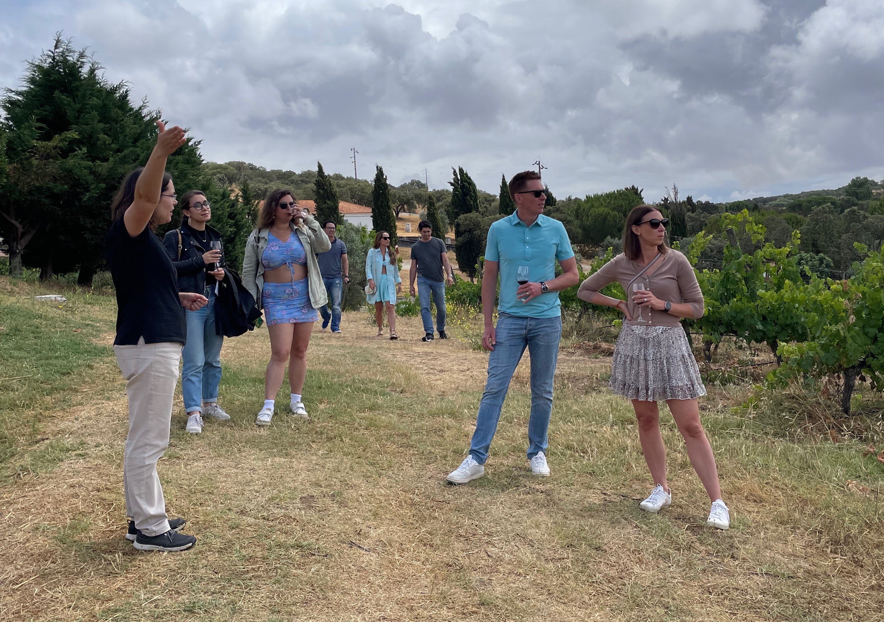 wine tour in Alentejo — Alentejo Wine and Cork from Évora - 2026 (Verified Reviews)