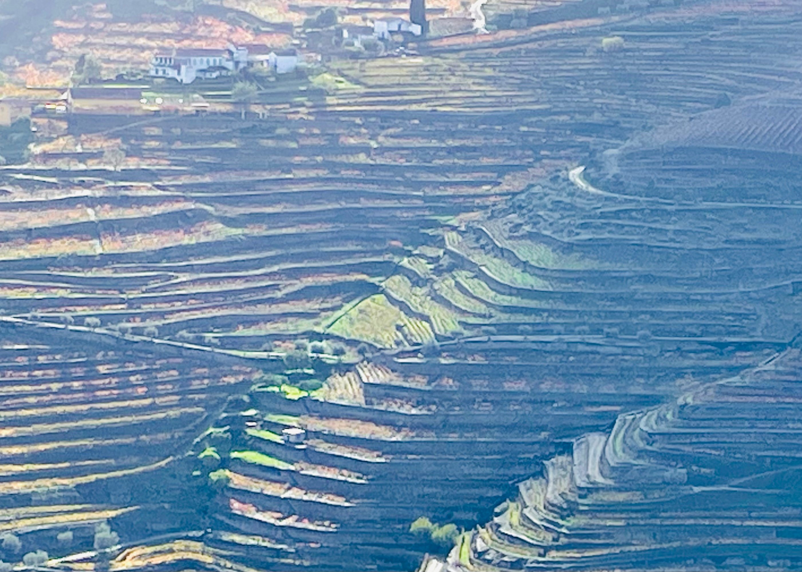 Private Douro Valley Day Tour from Porto with River Cruise & Wine Tasting