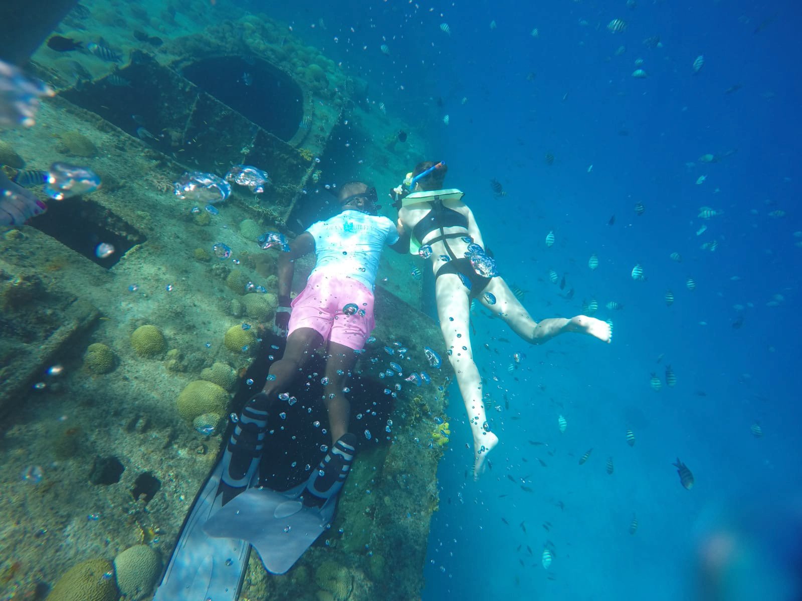 Barbados Cruise Port Beach & Turtle Adventure
