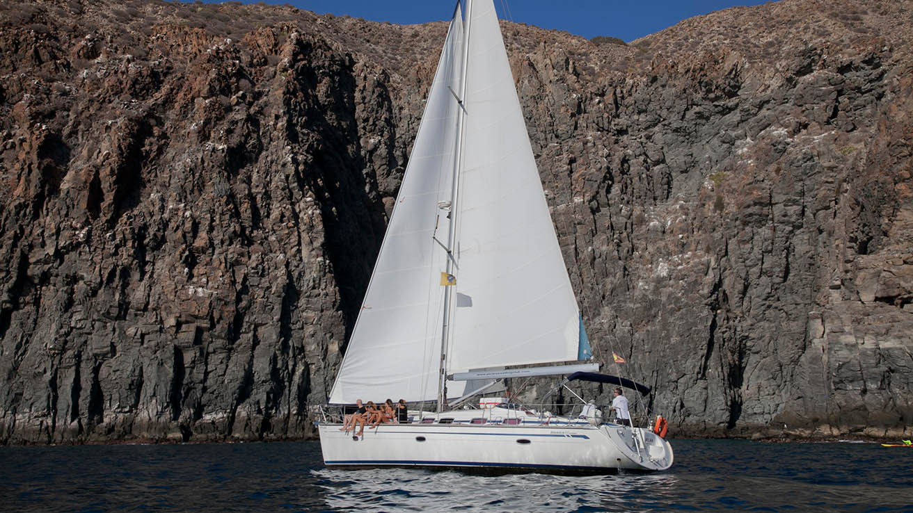 Eco-Friendly Whale Watching Sailboat Cruise from Los Gigantes