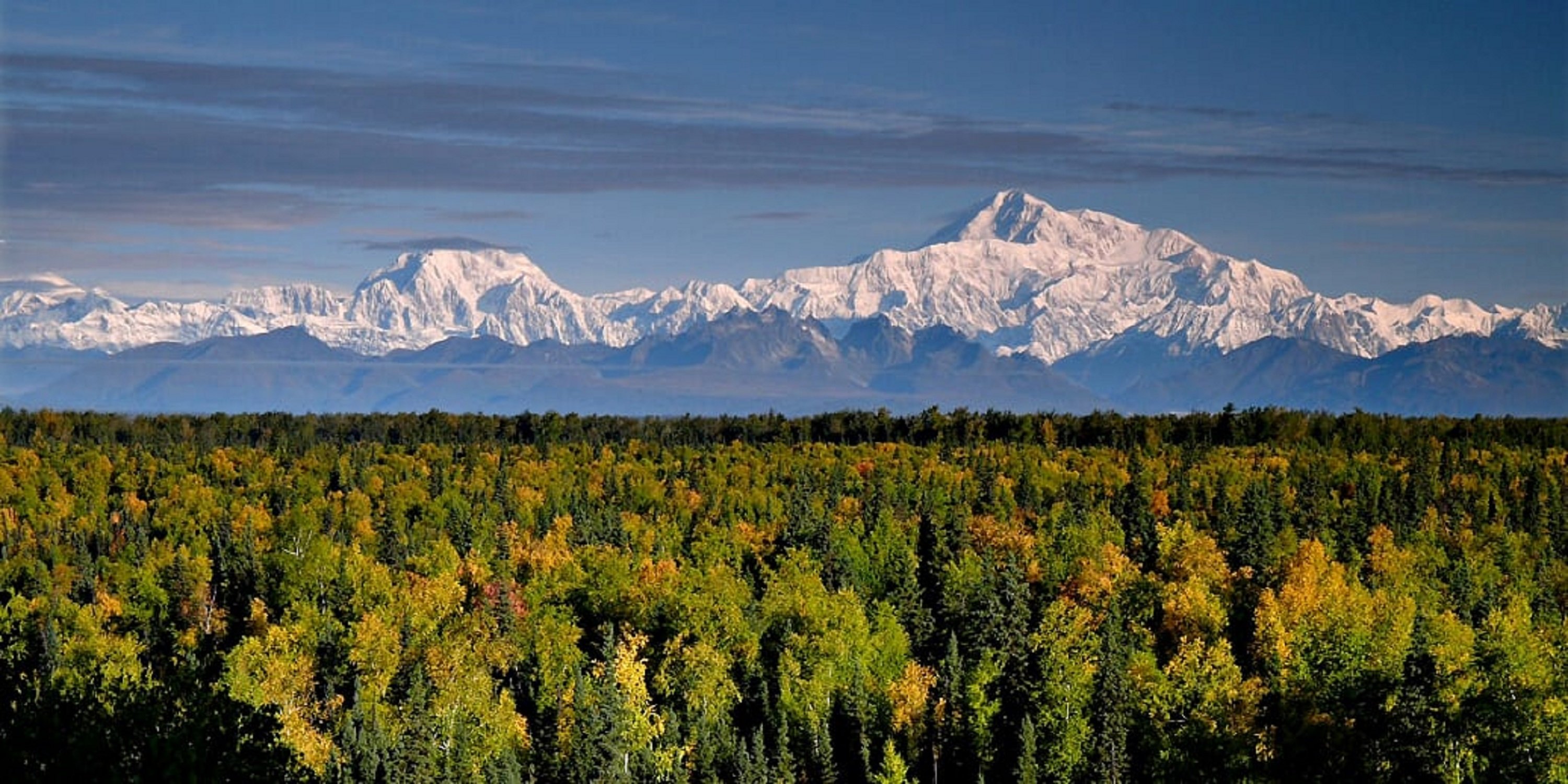 Talkeetna: Denali Zipline Tours