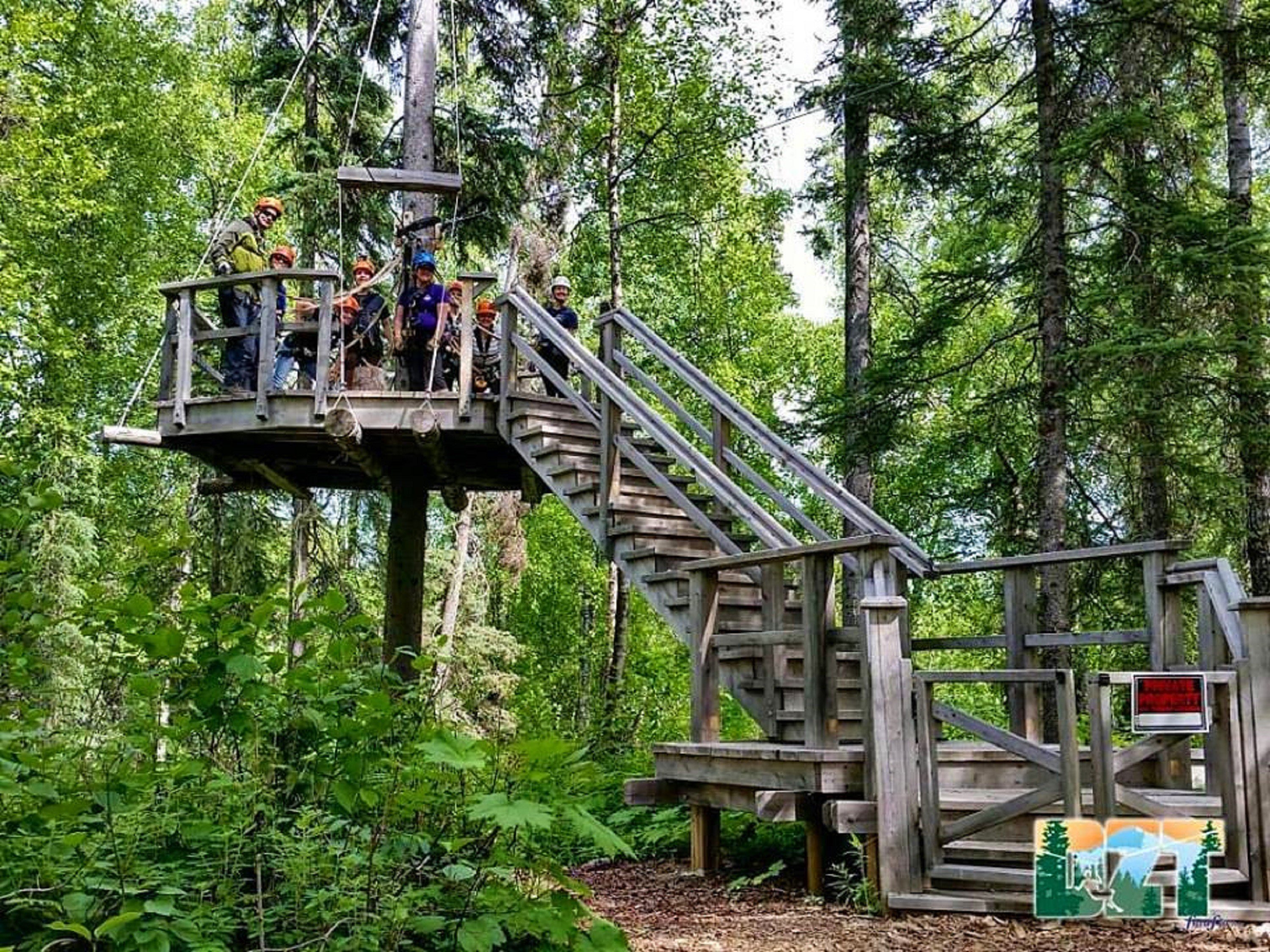 Talkeetna: Denali Zipline Tours