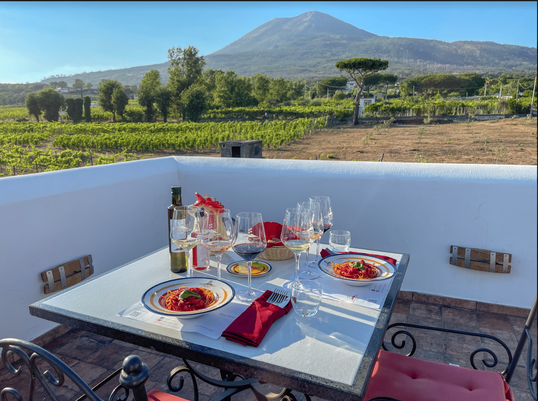 Mount Vesuvius: Vineyard Tour with Wine Tasting and Lunch - Mount Vesuvius crater tour and Bay of Naples views