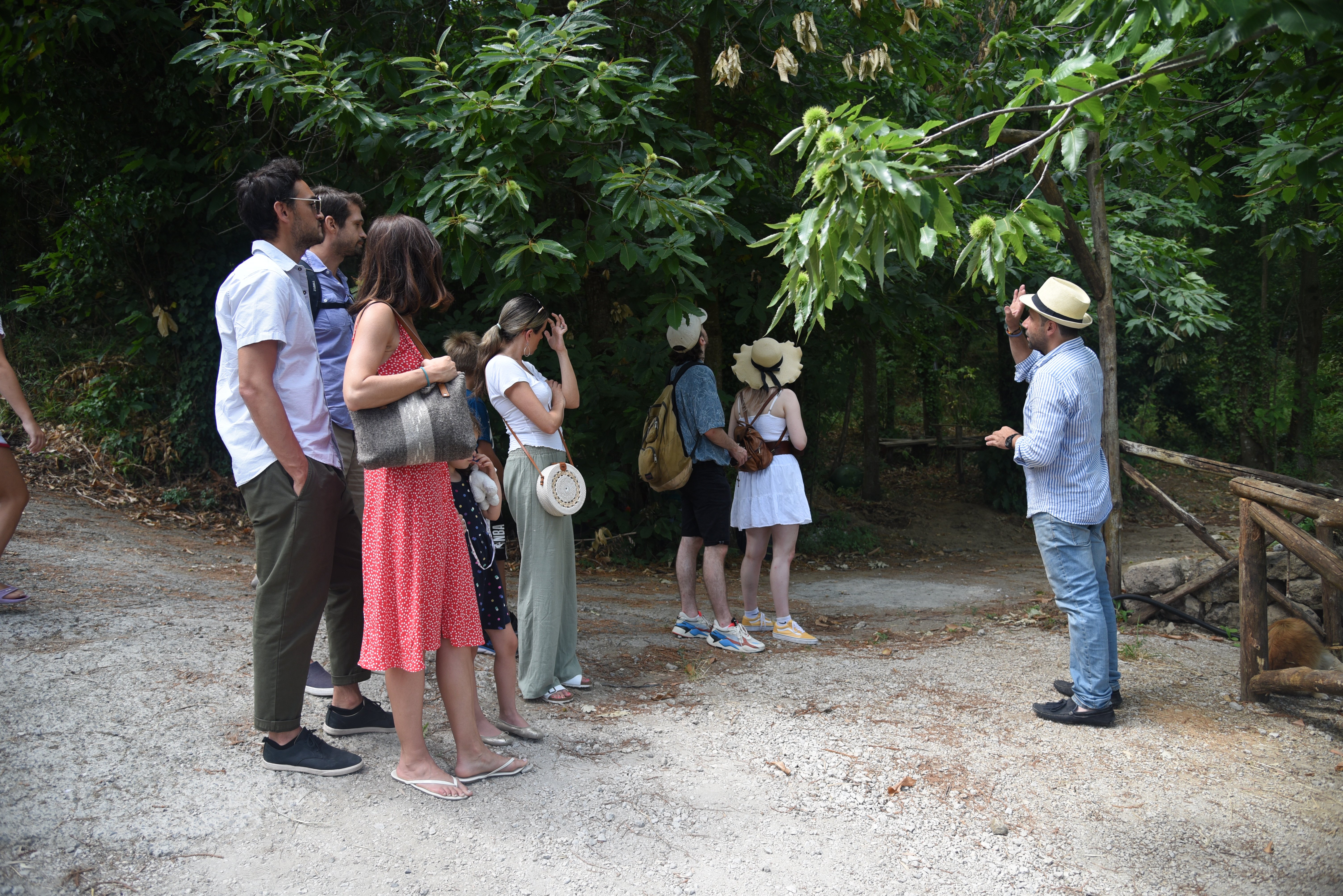 cheese tasting in Sorrento — photo 4
