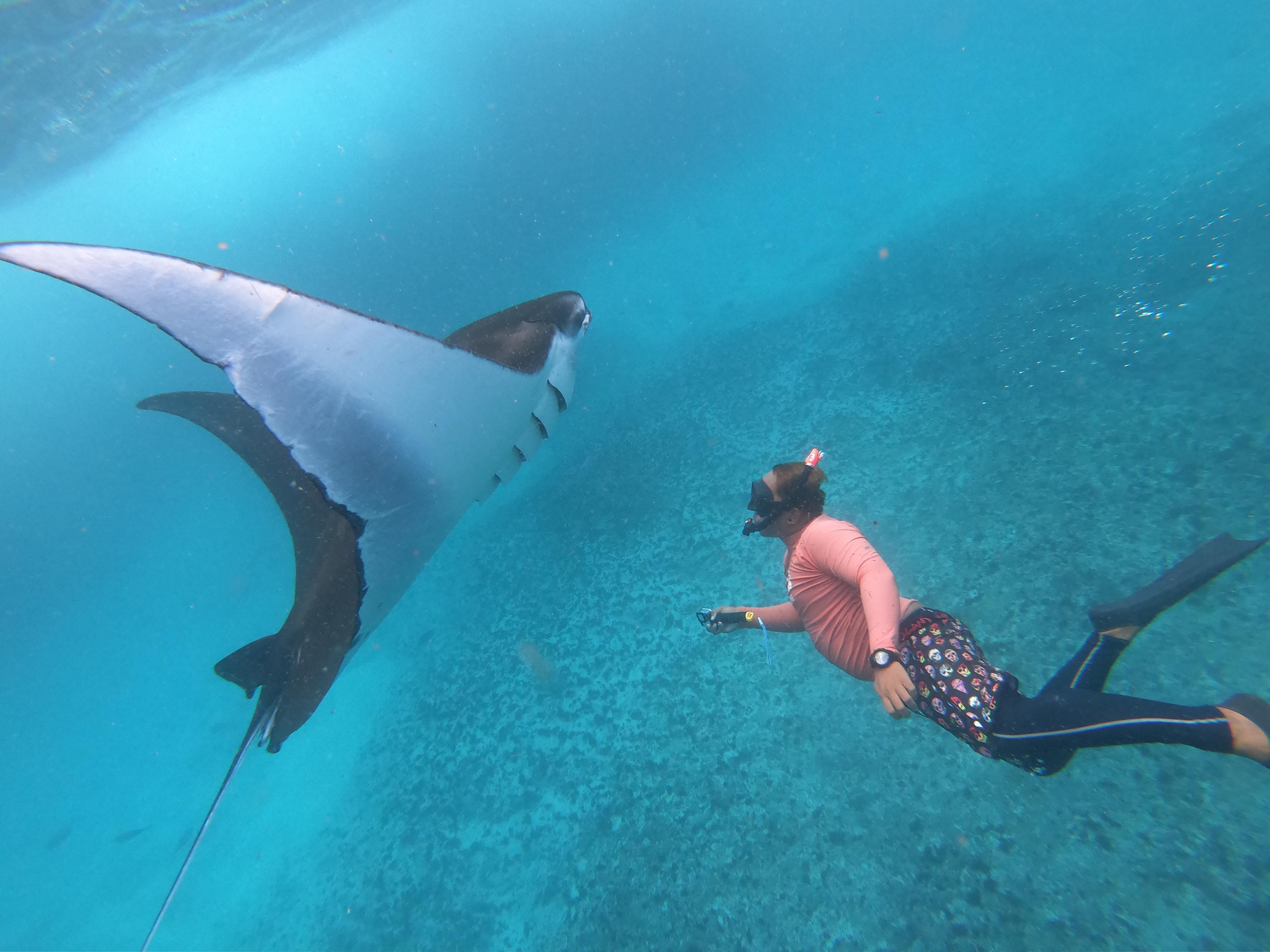 Nusa Penida Snorkeling Adventure from Lembongan