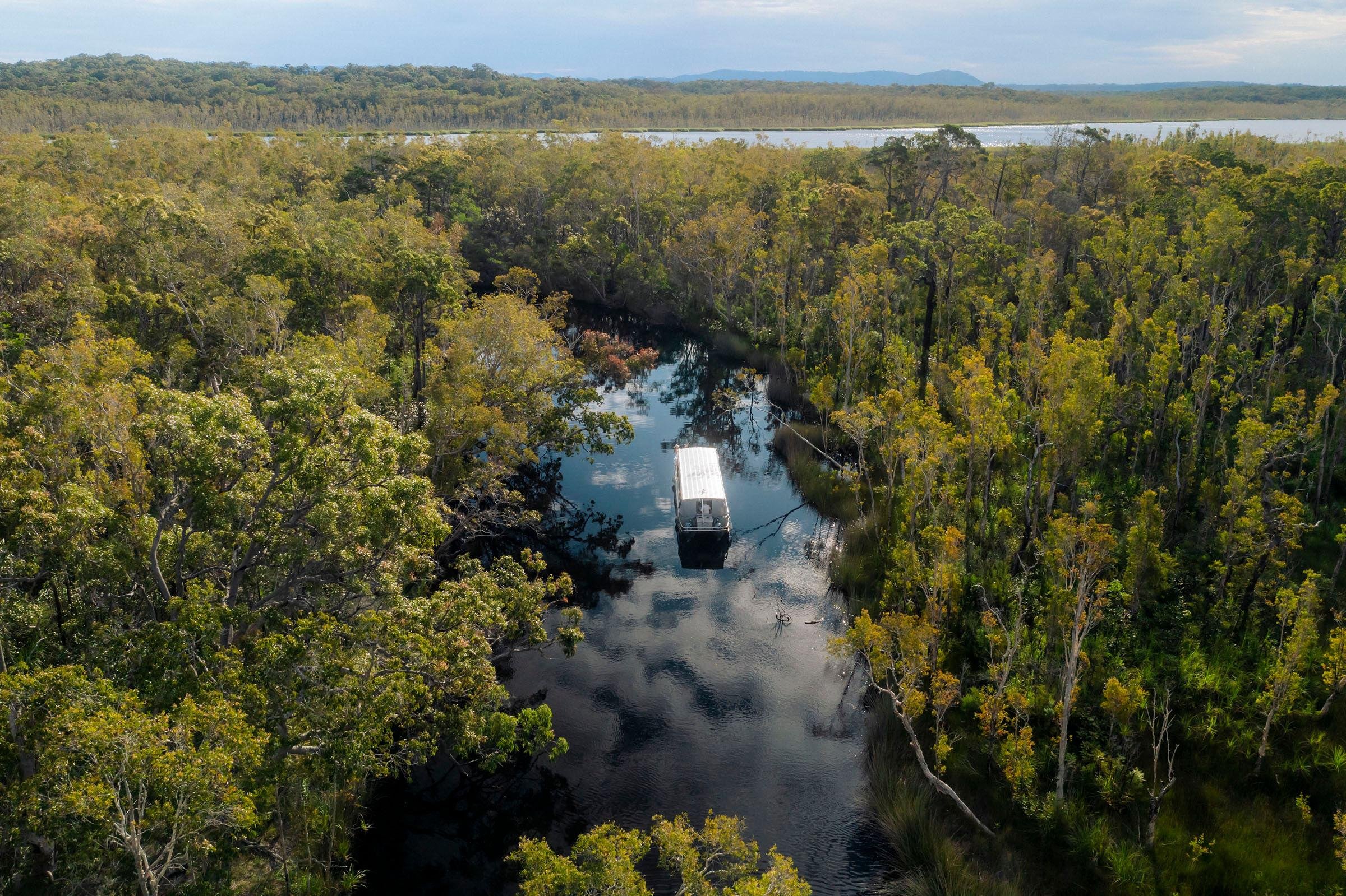 Noosa Everglades Afternoon Eco Cruise
