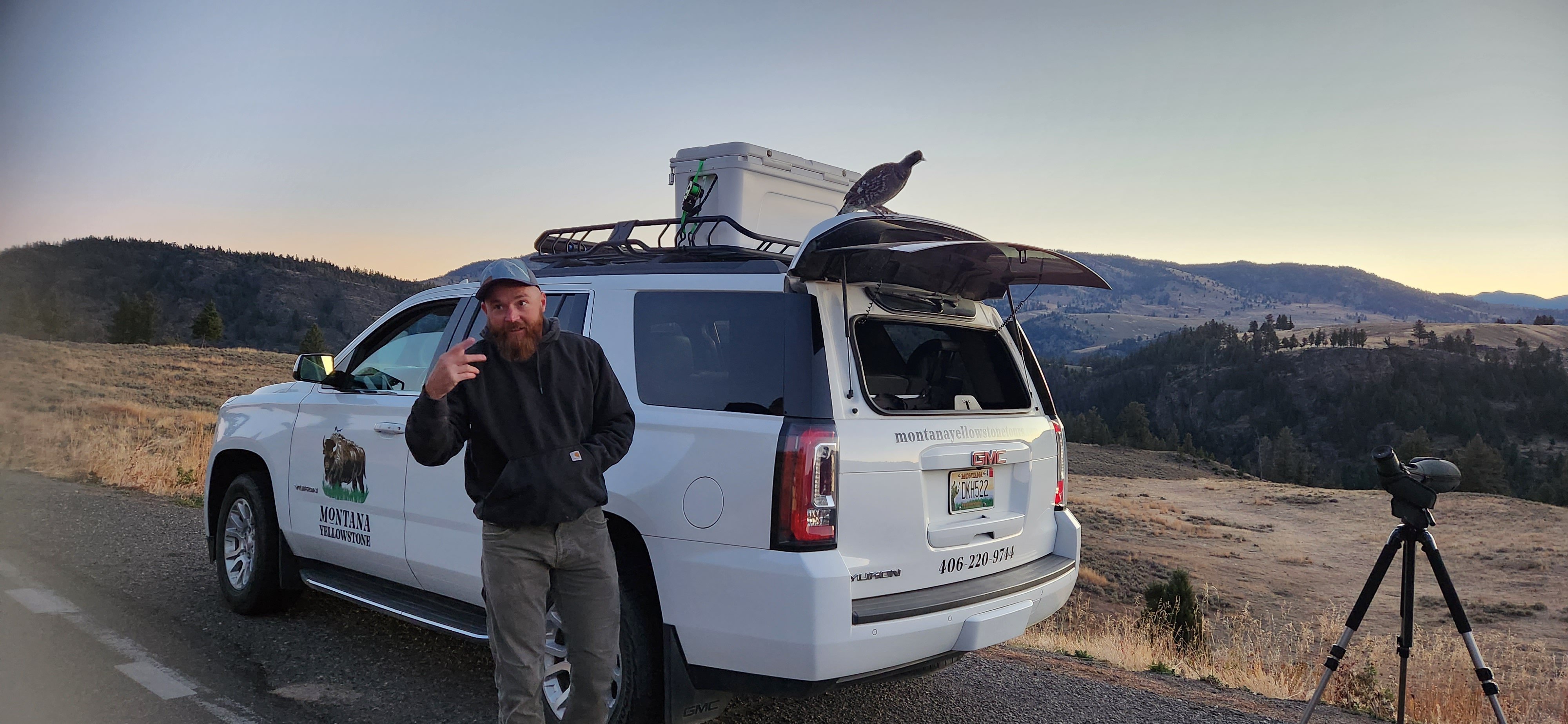 Yellowstone Wildlife Safari from Gardiner
